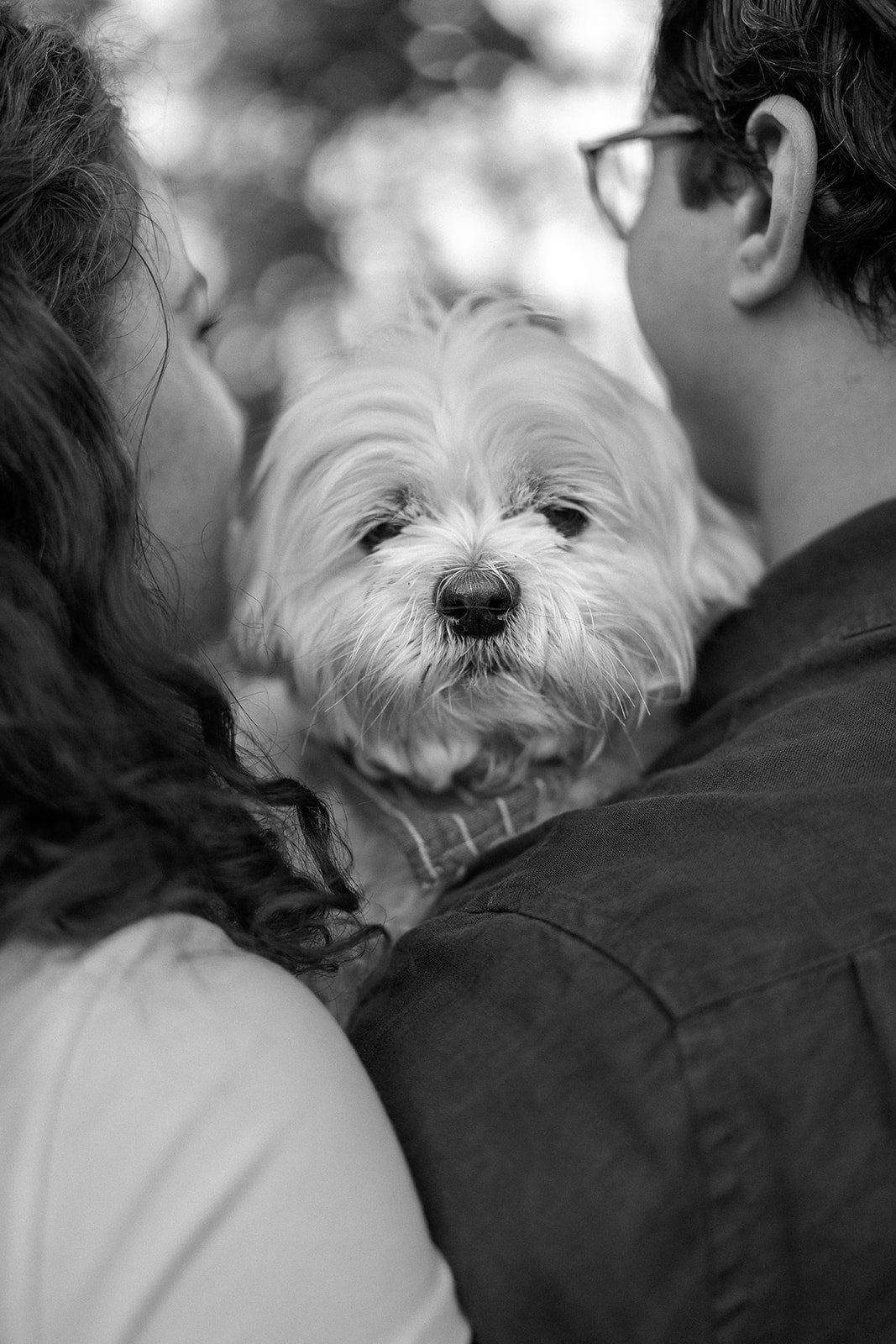 Amanda + Preston_Engagement_Santa Monica_25.11.23_Melissa Rae Photography-104.jpg