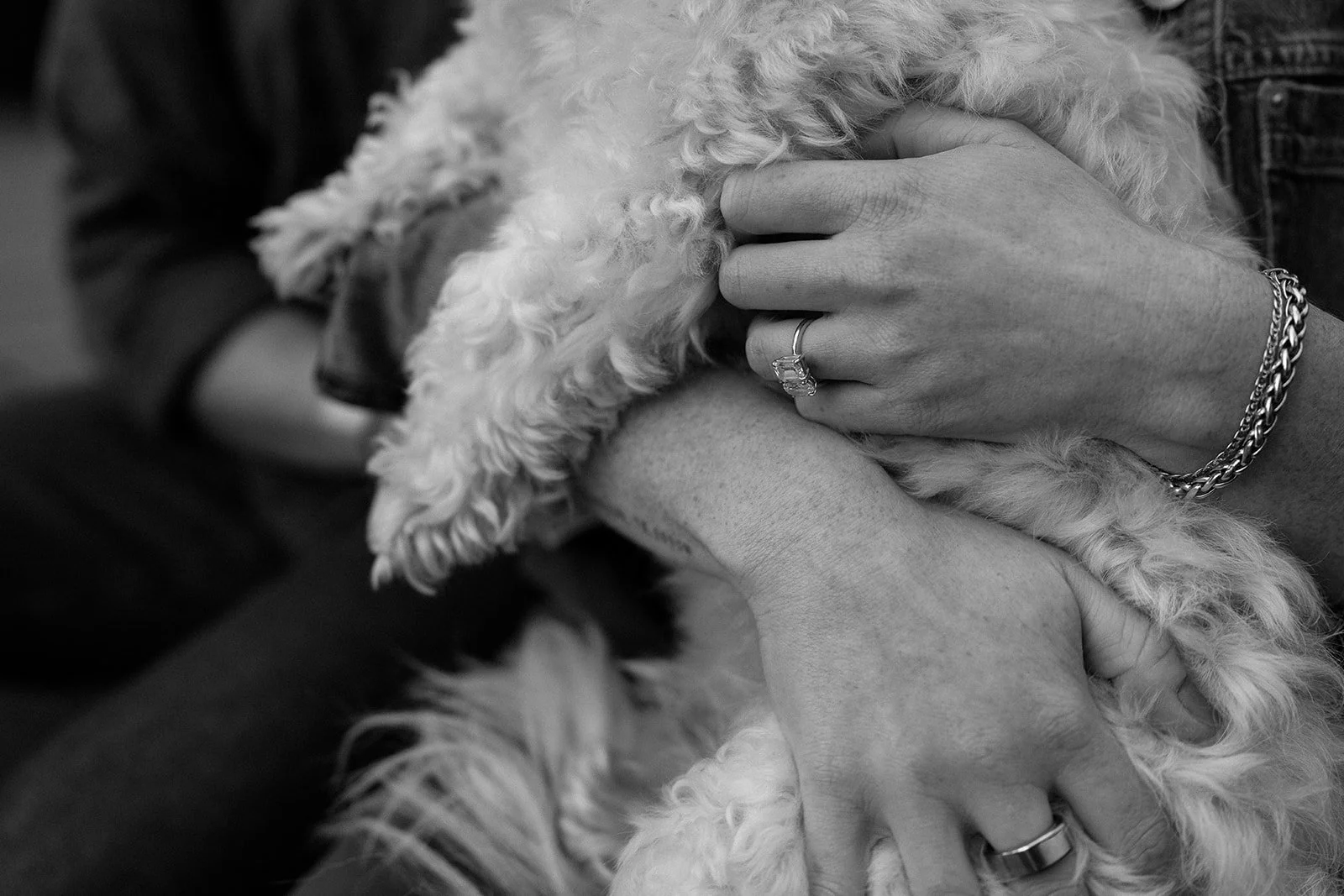 Amanda + Preston_Engagement_Santa Monica_25.11.23_Melissa Rae Photography-133.jpg