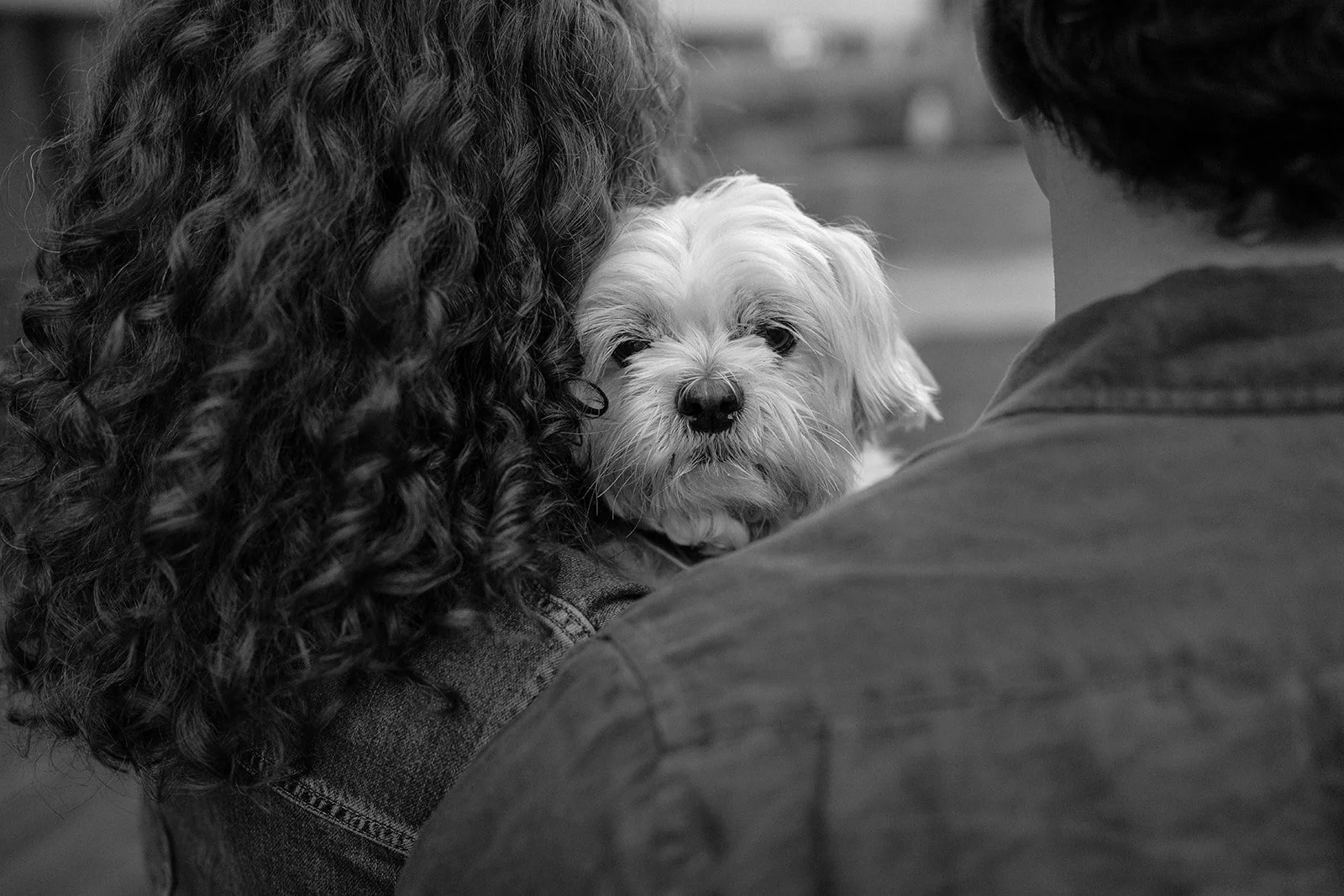 Amanda + Preston_Engagement_Santa Monica_25.11.23_Melissa Rae Photography-137.jpg