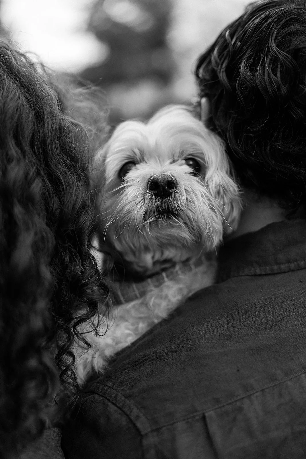 Amanda + Preston_Engagement_Santa Monica_25.11.23_Melissa Rae Photography-140.jpg