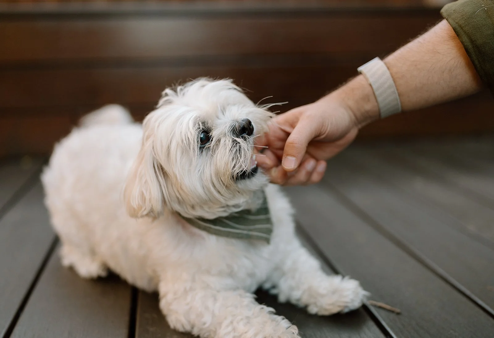 Amanda + Preston_Engagement_Santa Monica_25.11.23_Melissa Rae Photography-165.jpg