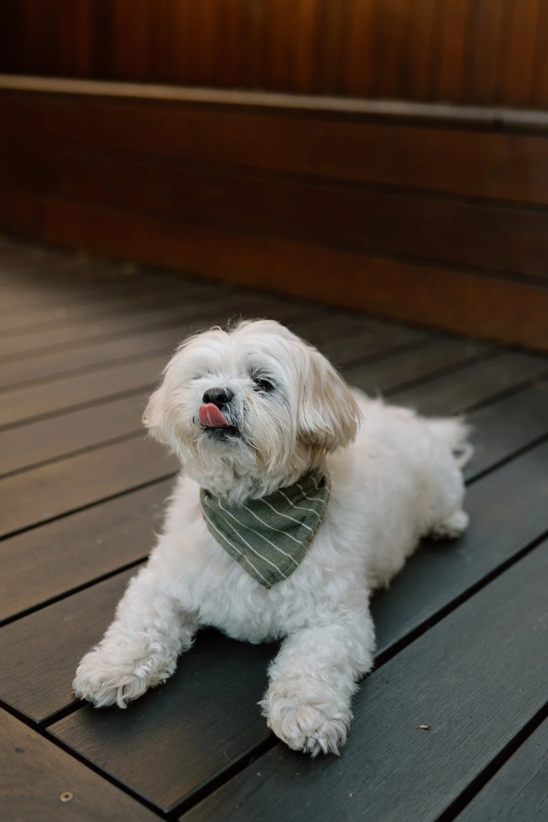 Amanda + Preston_Engagement_Santa Monica_25.11.23_Melissa Rae Photography-174.jpg