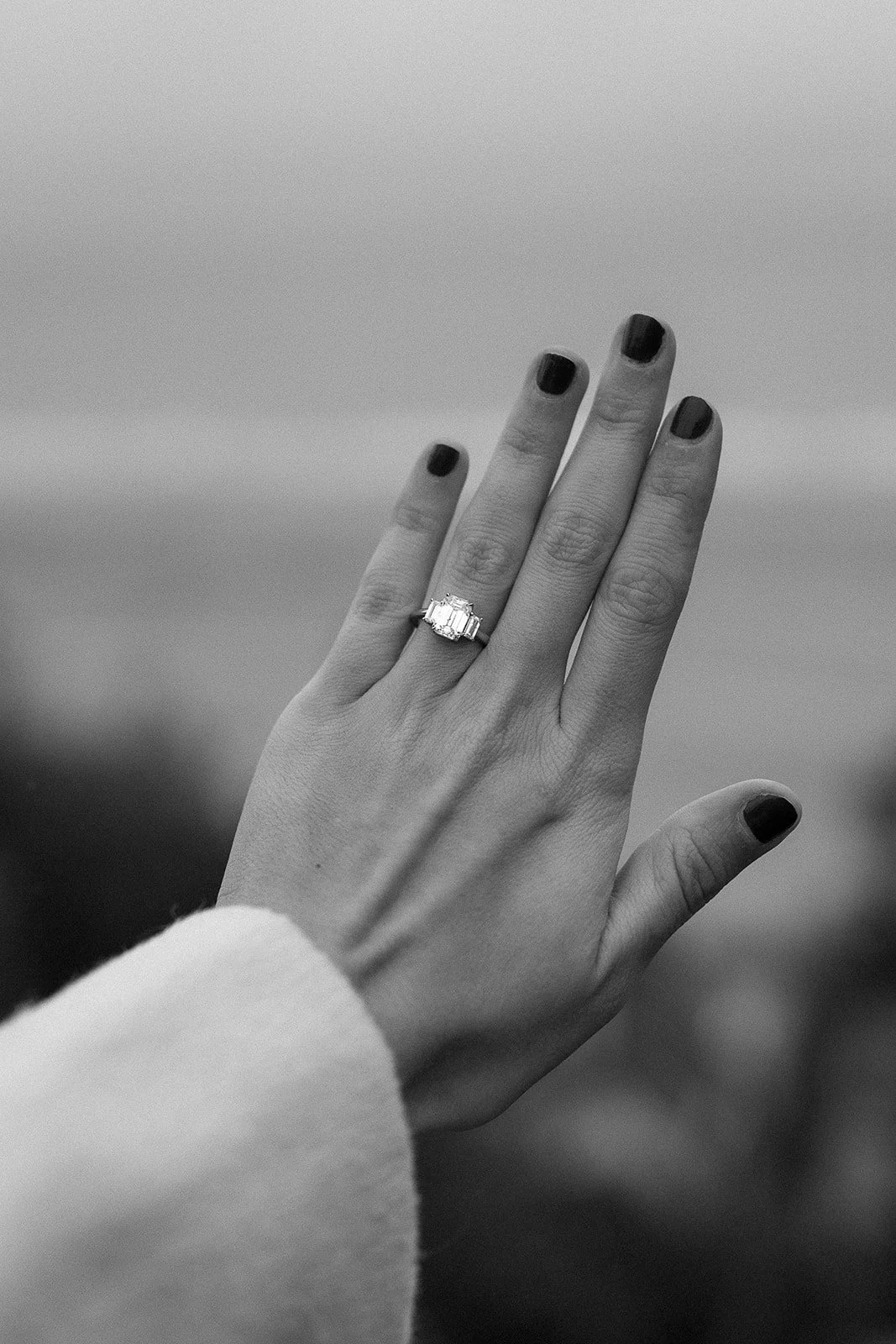 Carolina + Jack_Proposal_Palisades Park_26.01.03_Melissa Rae Photography-46.jpg
