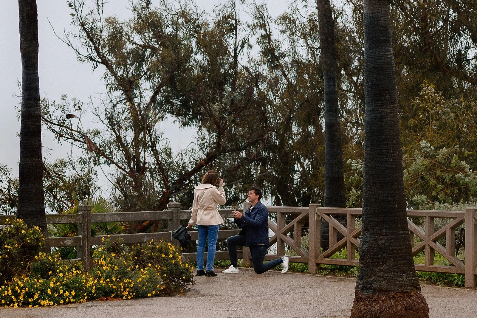 Carolina + Jack_Proposal_Palisades Park_26.01.03_Melissa Rae Photography-5.jpg