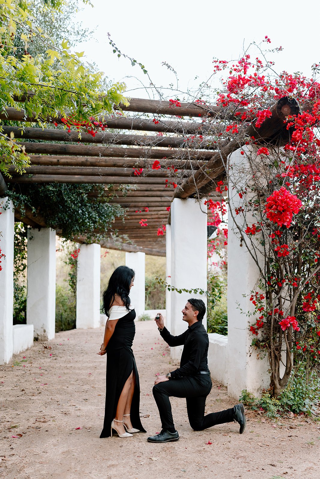 Bridny + Mohammed's Surprise Proposal