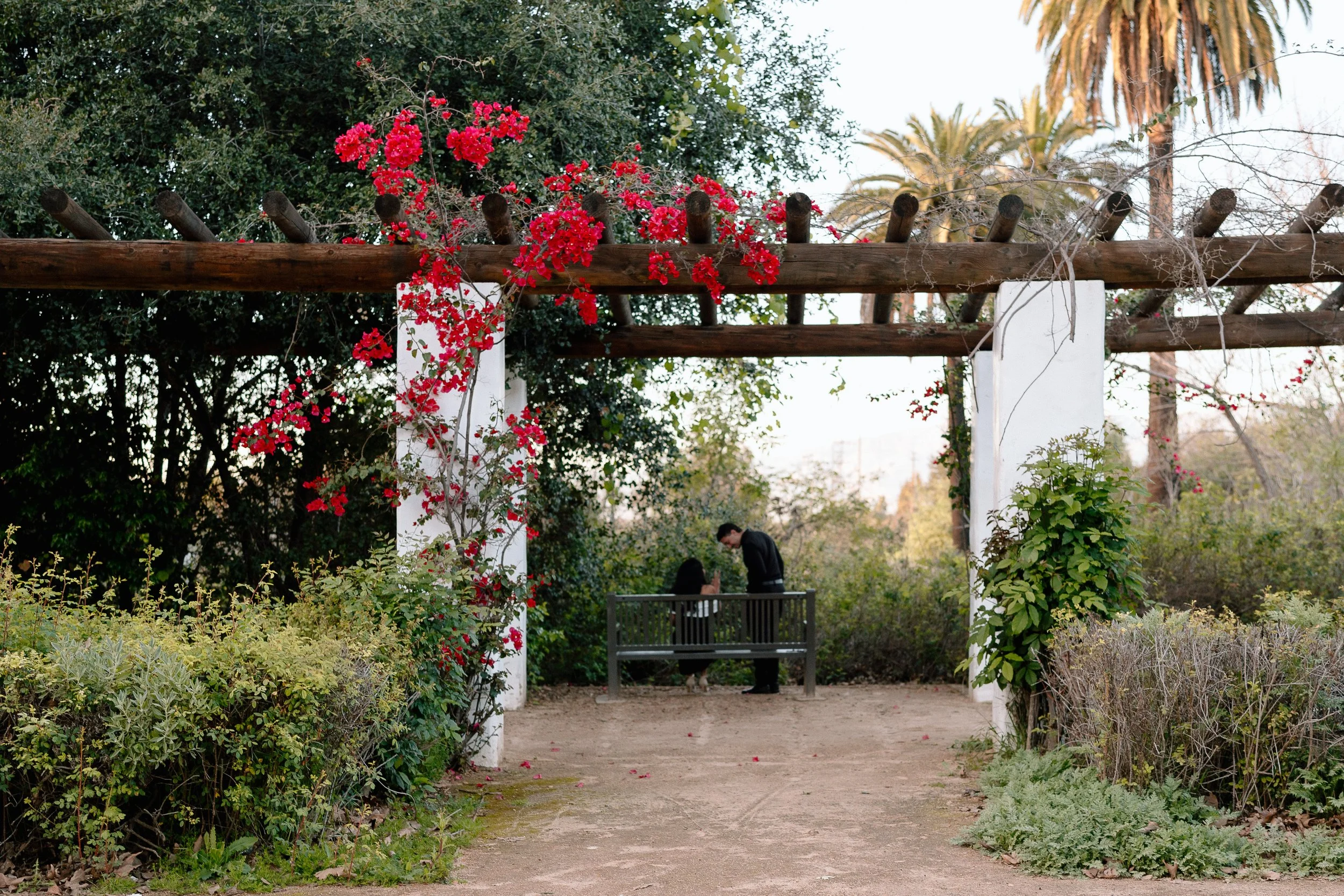Bridny + Mohammed_Proposal_Bosque Del Rio Hondo_26.02.21_Melissa Rae Photography-5.jpg