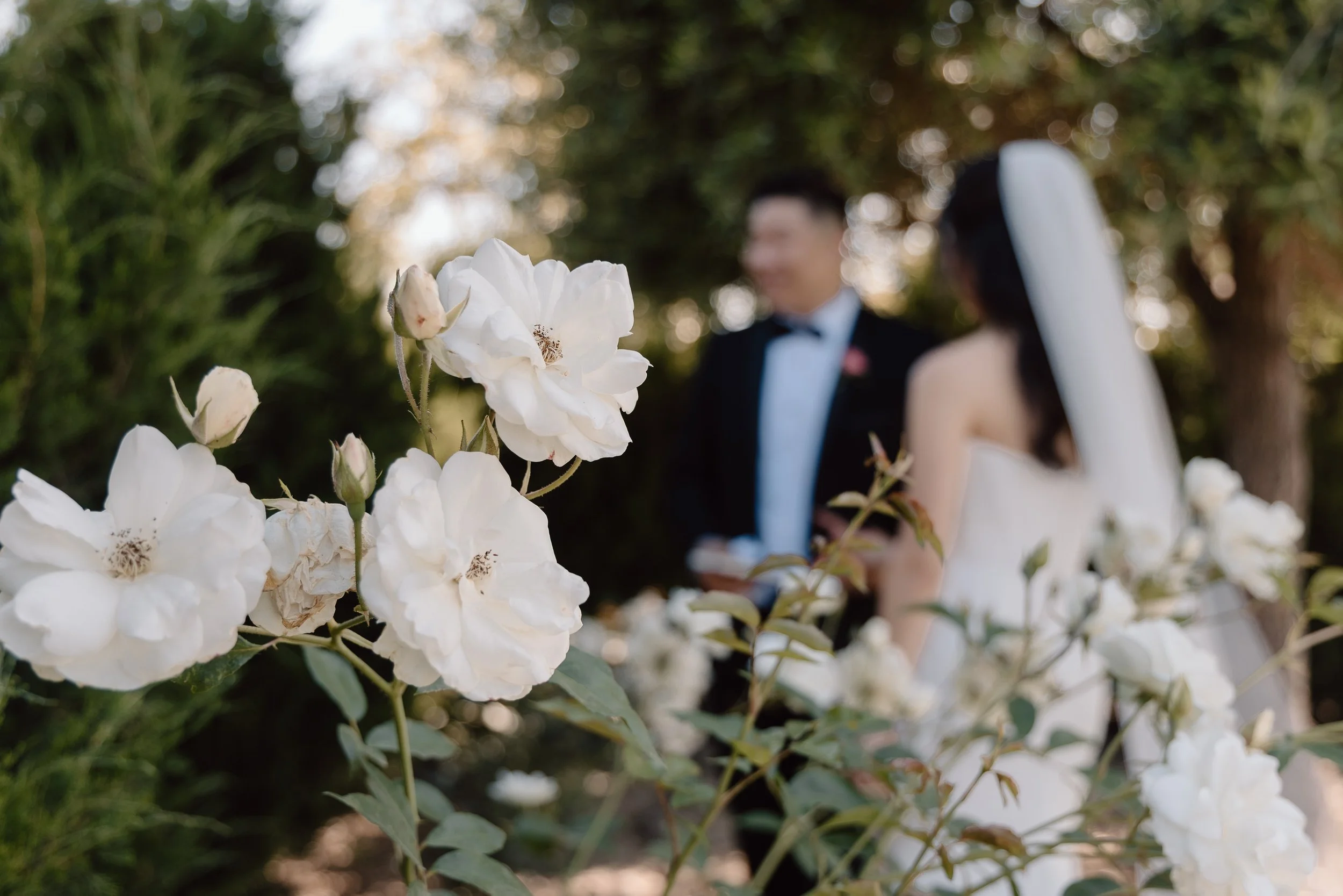 Iris and Sam_Wedding_Tuscan Rose Ranch - Santa Paula_25.06.07_Melissa Rae Photography-80.jpg