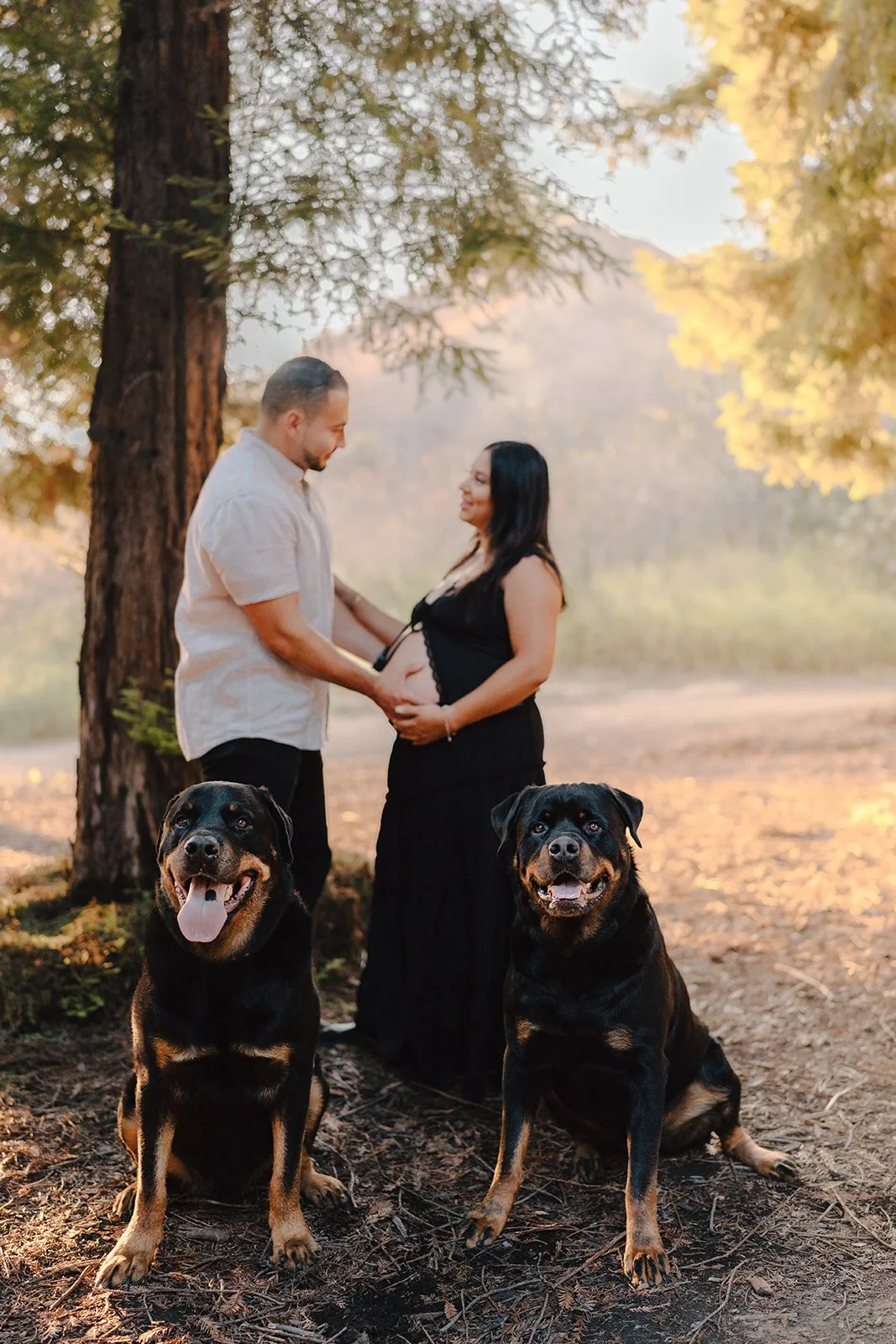 Andrea + Gio_Maternity_Redwood Grove_25.06.13_Melissa Rae Photography-18_websize.jpg