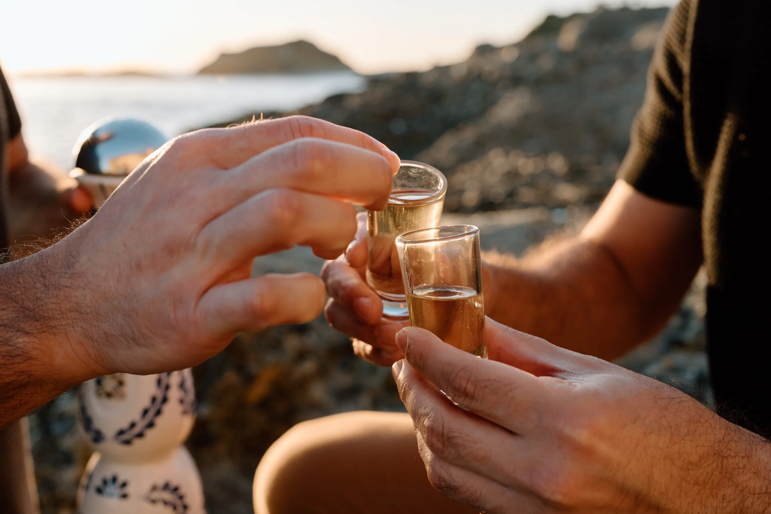 Adam + Frank_Engagement_Treasure Island_26.03.06_Melissa Rae Photography-57.jpg