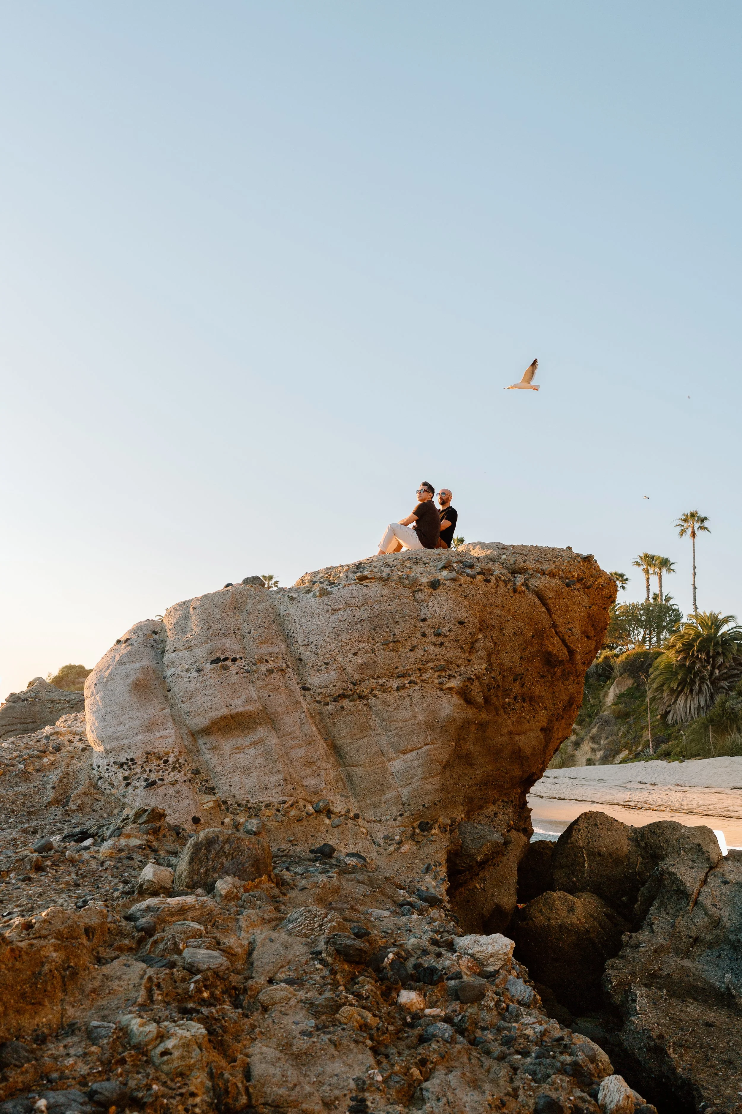 Adam + Frank_Engagement_Treasure Island_26.03.06_Melissa Rae Photography-78.jpg