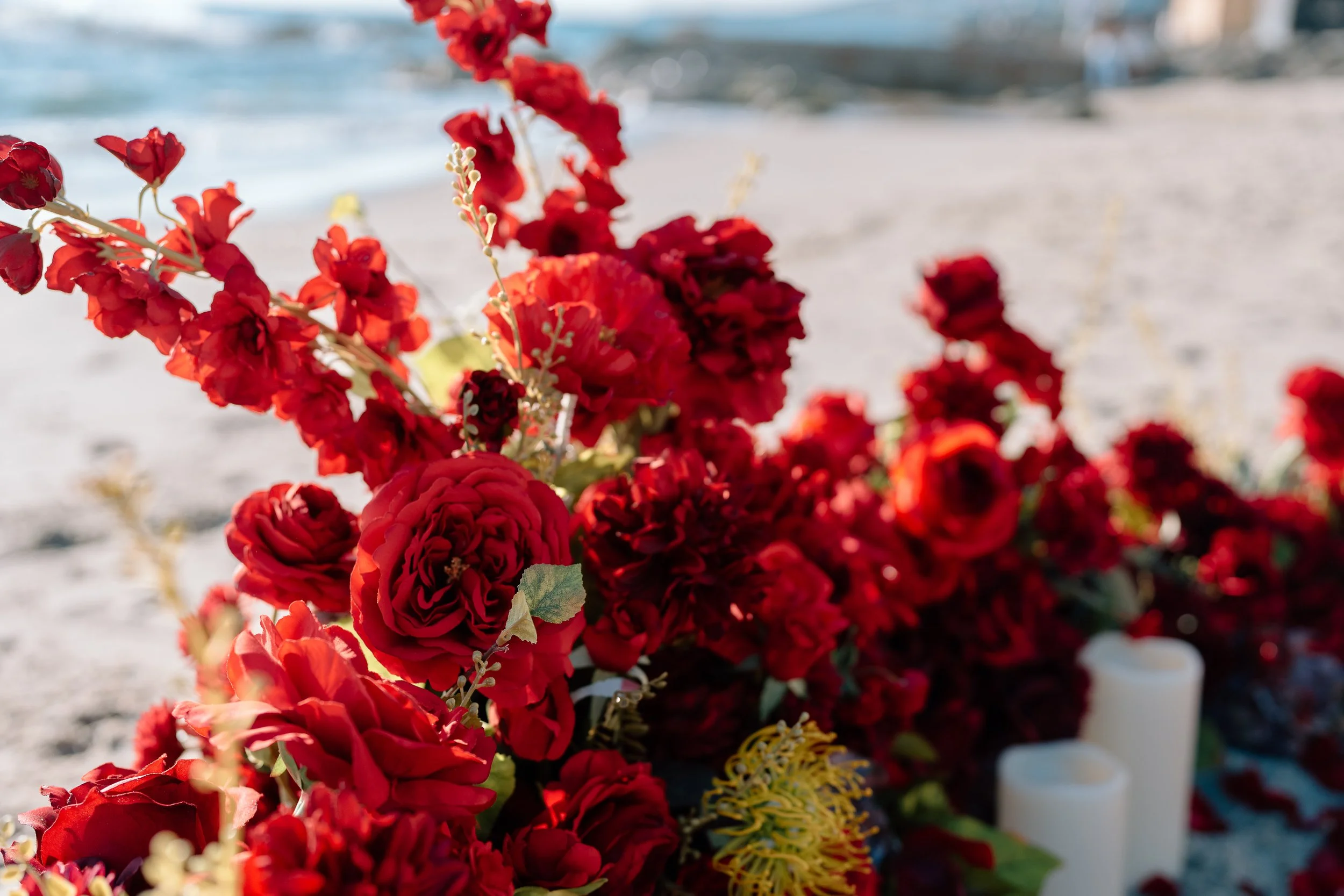 Olivia + Bella_Proposal_Laguna Beach_06.02.26_Melissa Rae Photography-3.jpg