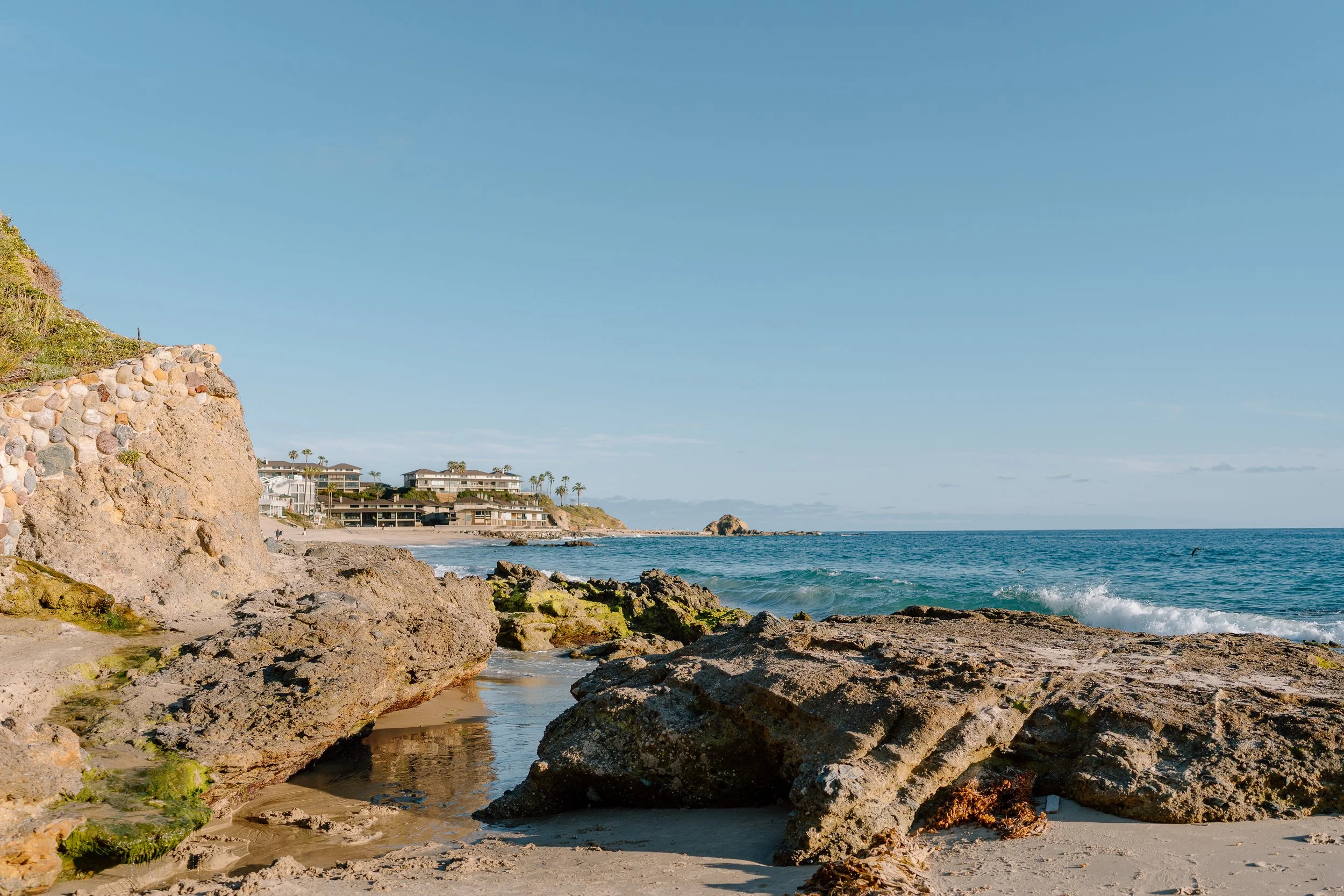 Olivia + Bella_Proposal_Laguna Beach_06.02.26_Melissa Rae Photography-4.jpg