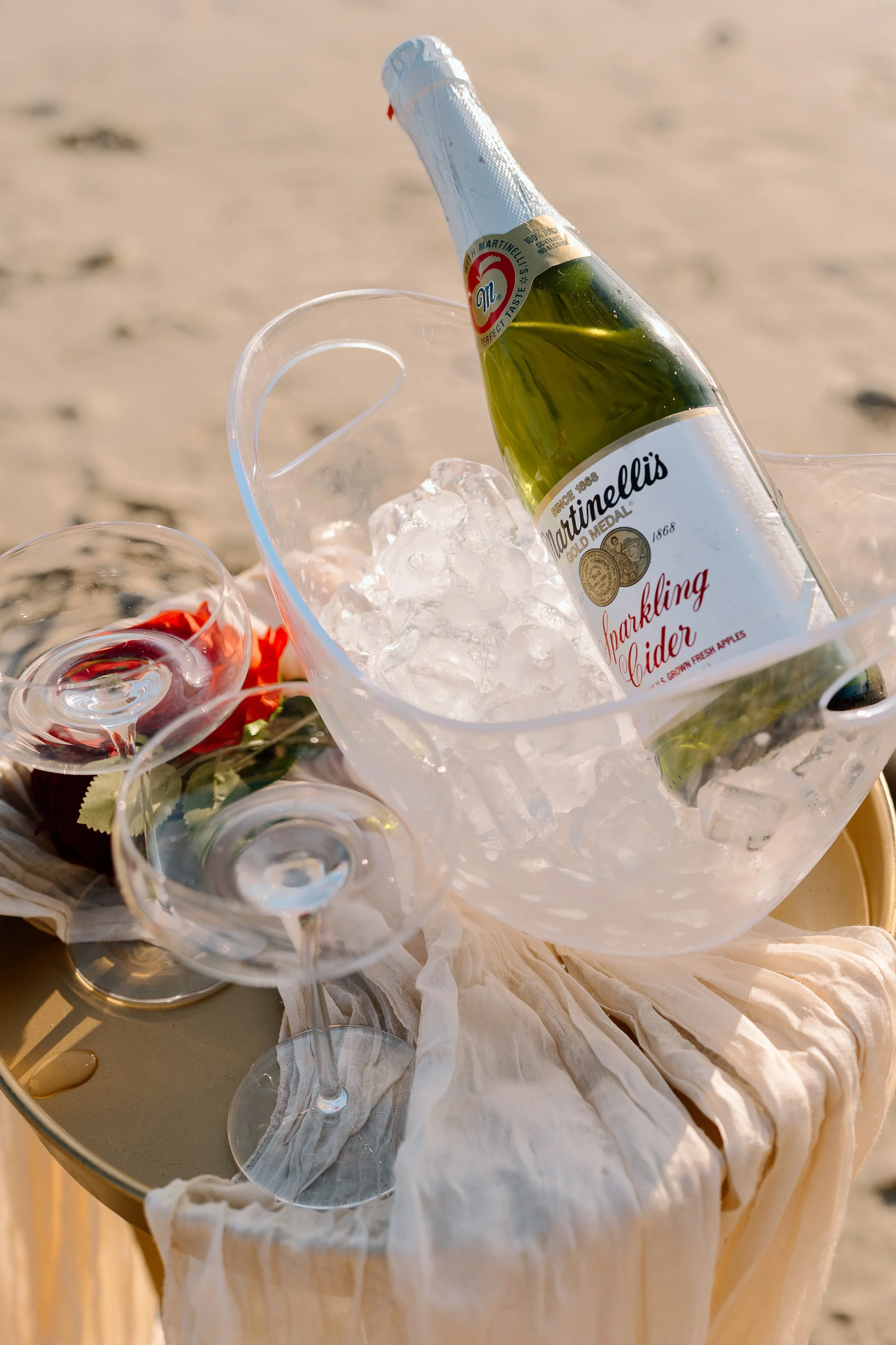 Olivia + Bella_Proposal_Laguna Beach_06.02.26_Melissa Rae Photography-8.jpg