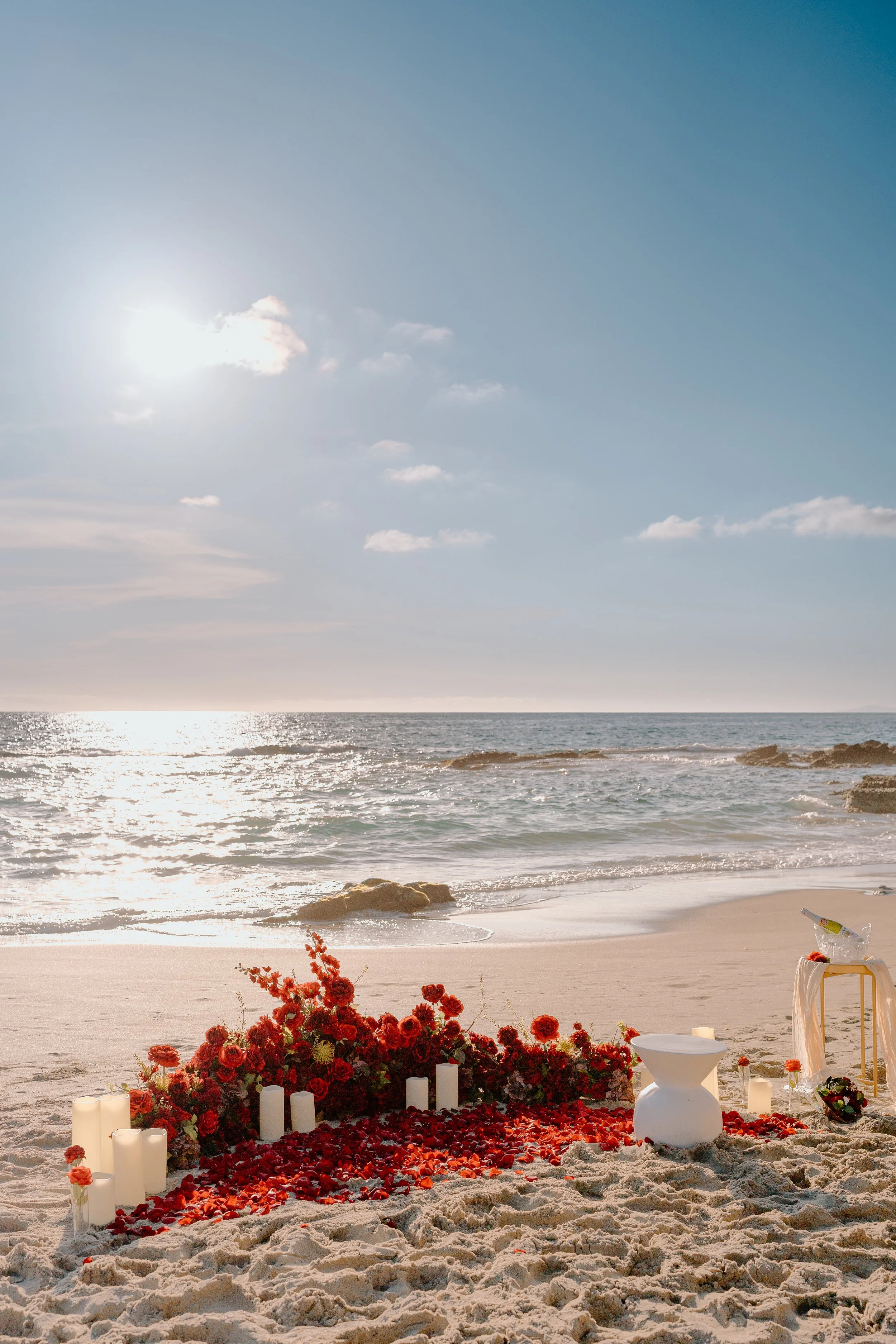 Olivia + Bella_Proposal_Laguna Beach_06.02.26_Melissa Rae Photography-6.jpg