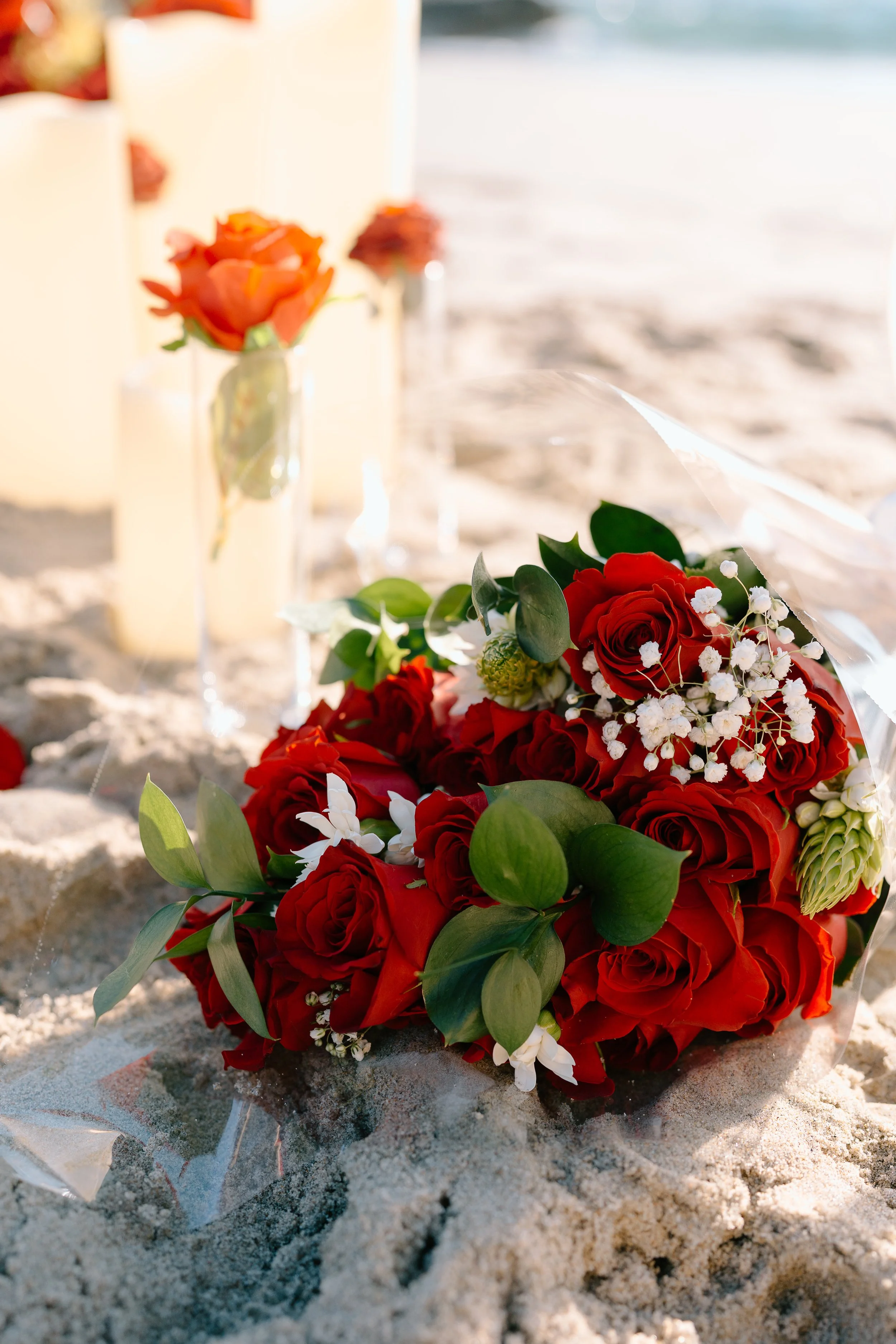 Olivia + Bella_Proposal_Laguna Beach_06.02.26_Melissa Rae Photography-9.jpg