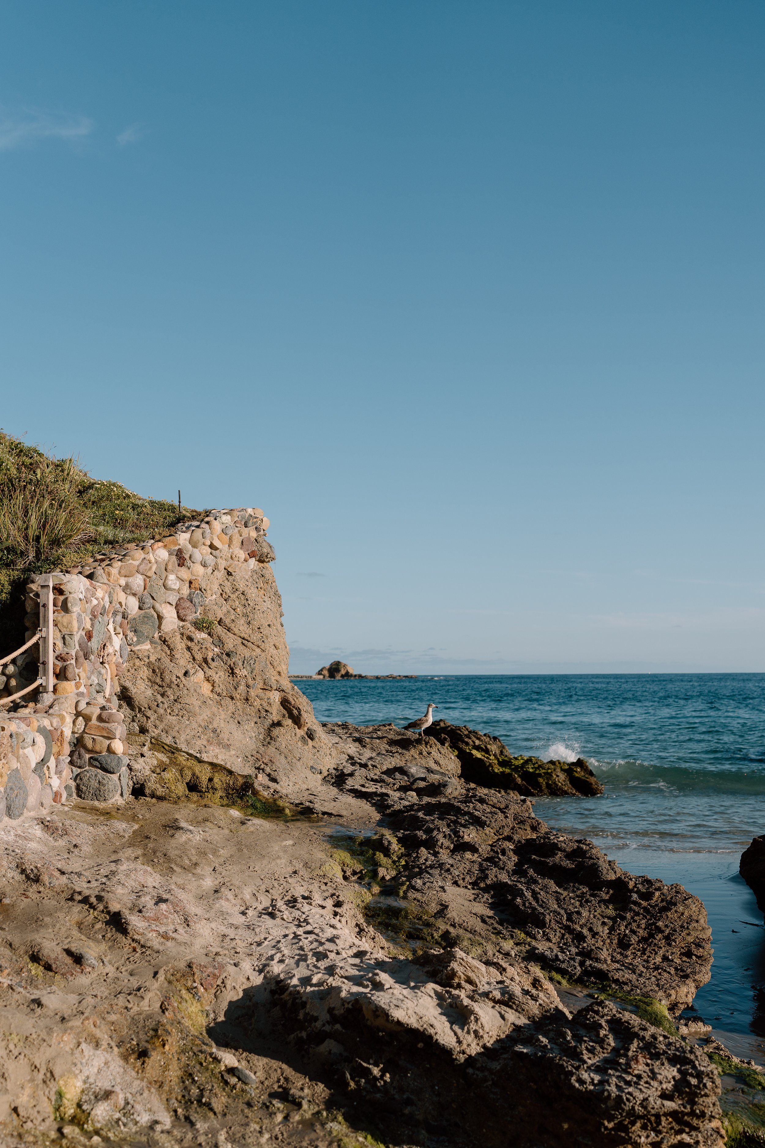 Olivia + Bella_Proposal_Laguna Beach_06.02.26_Melissa Rae Photography-11.jpg