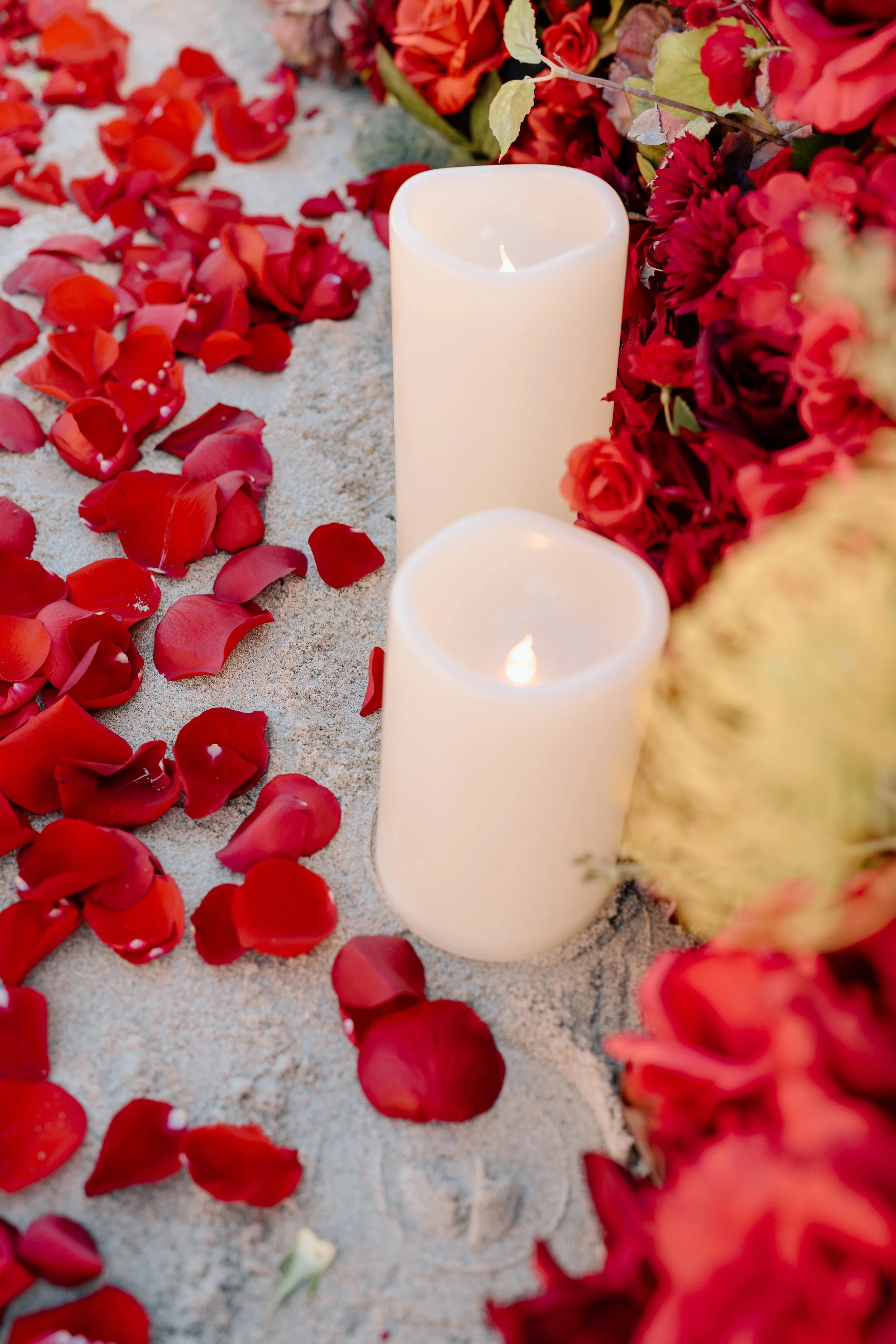 Olivia + Bella_Proposal_Laguna Beach_06.02.26_Melissa Rae Photography-13.jpg