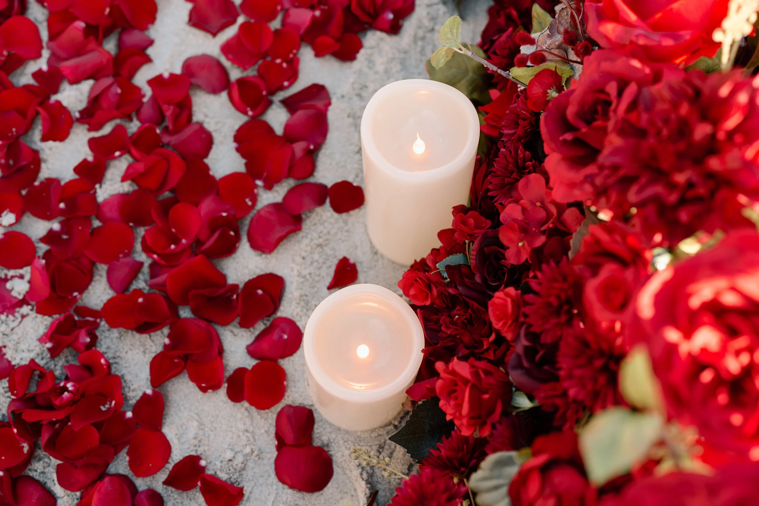 Olivia + Bella_Proposal_Laguna Beach_06.02.26_Melissa Rae Photography-14.jpg