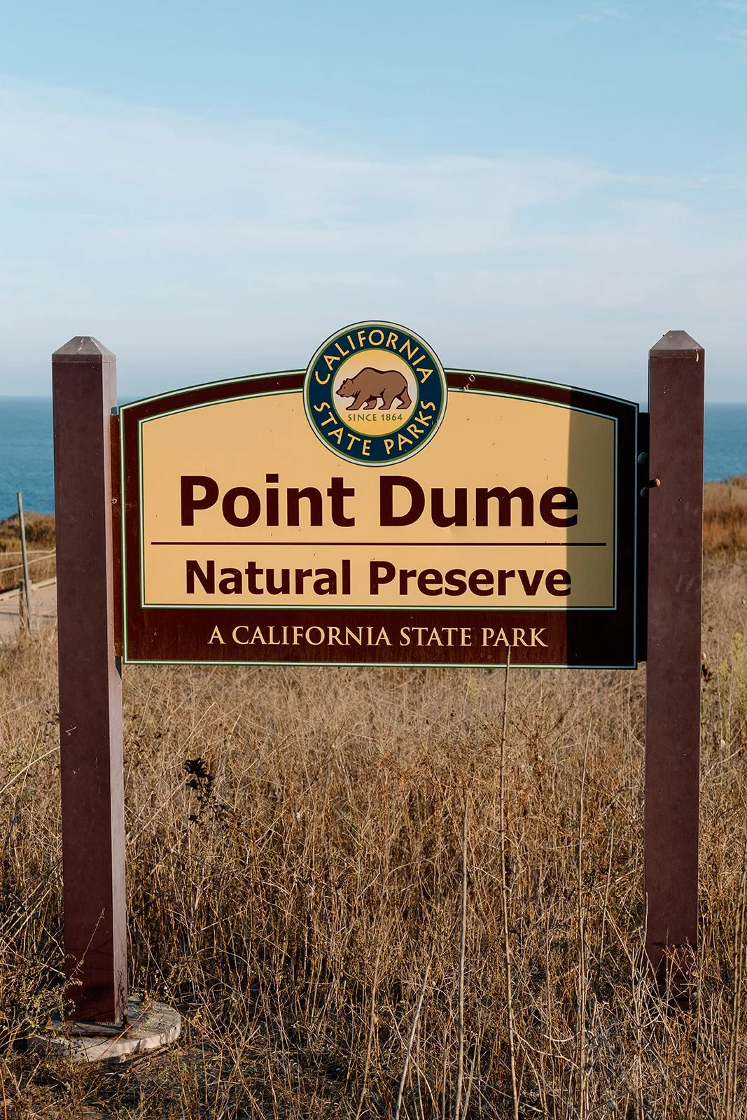 Patricia + Scott_Proposal_Point Dume Natural Preserve_26.08.20_Melissa Rae Photography-1.jpg
