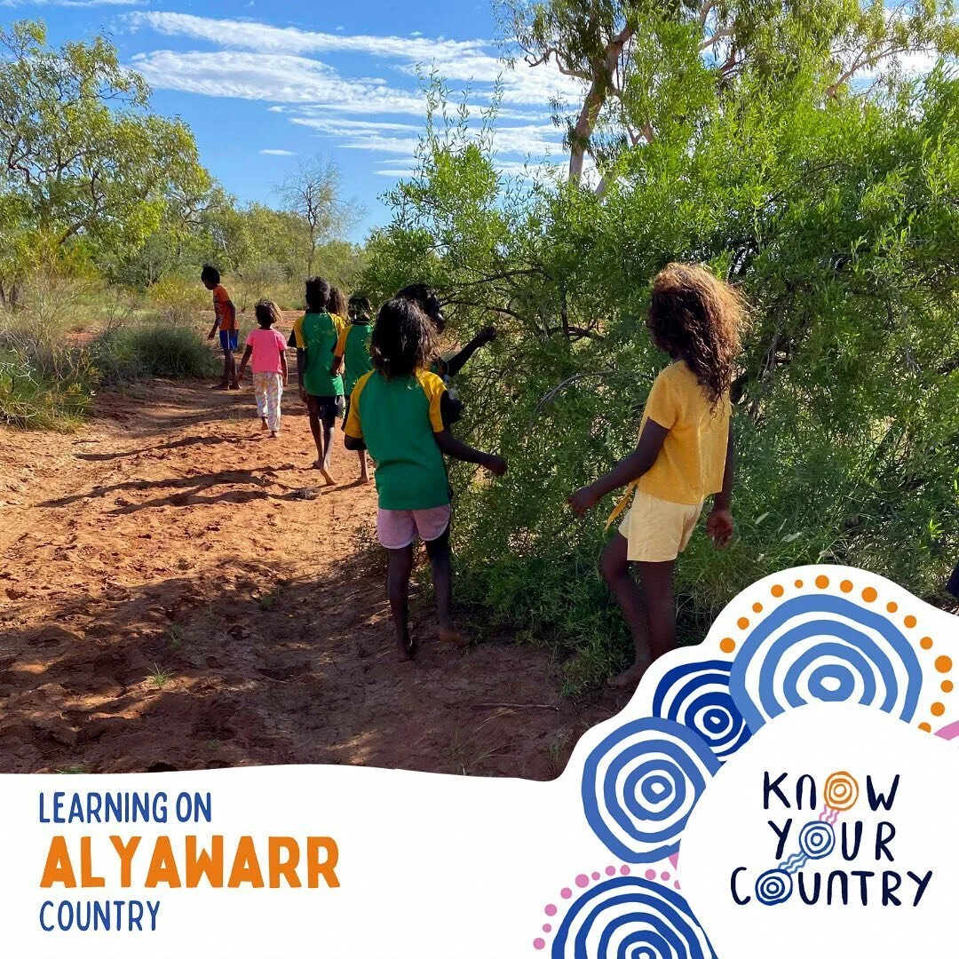 Learning on Alyawarr Country