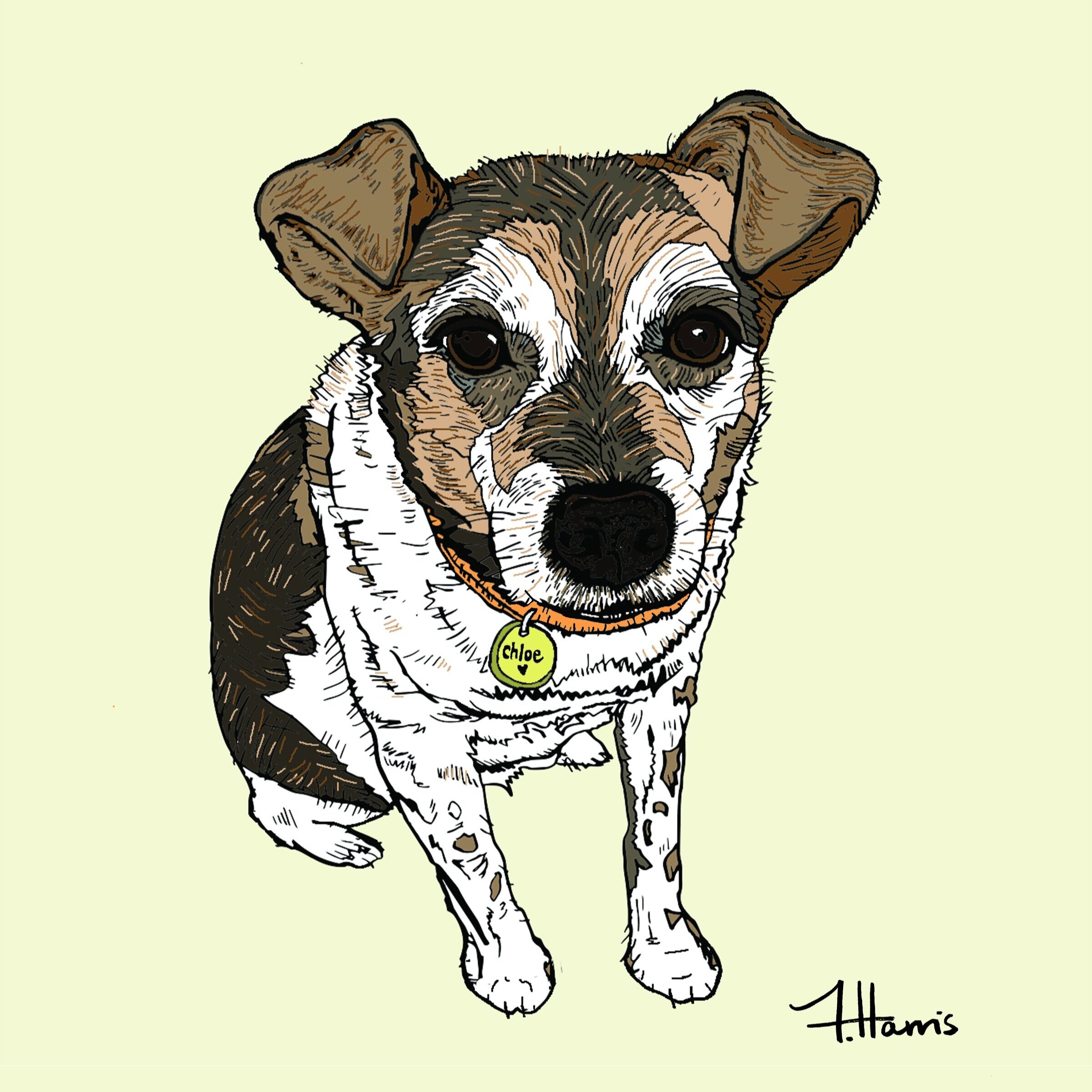 Chloe