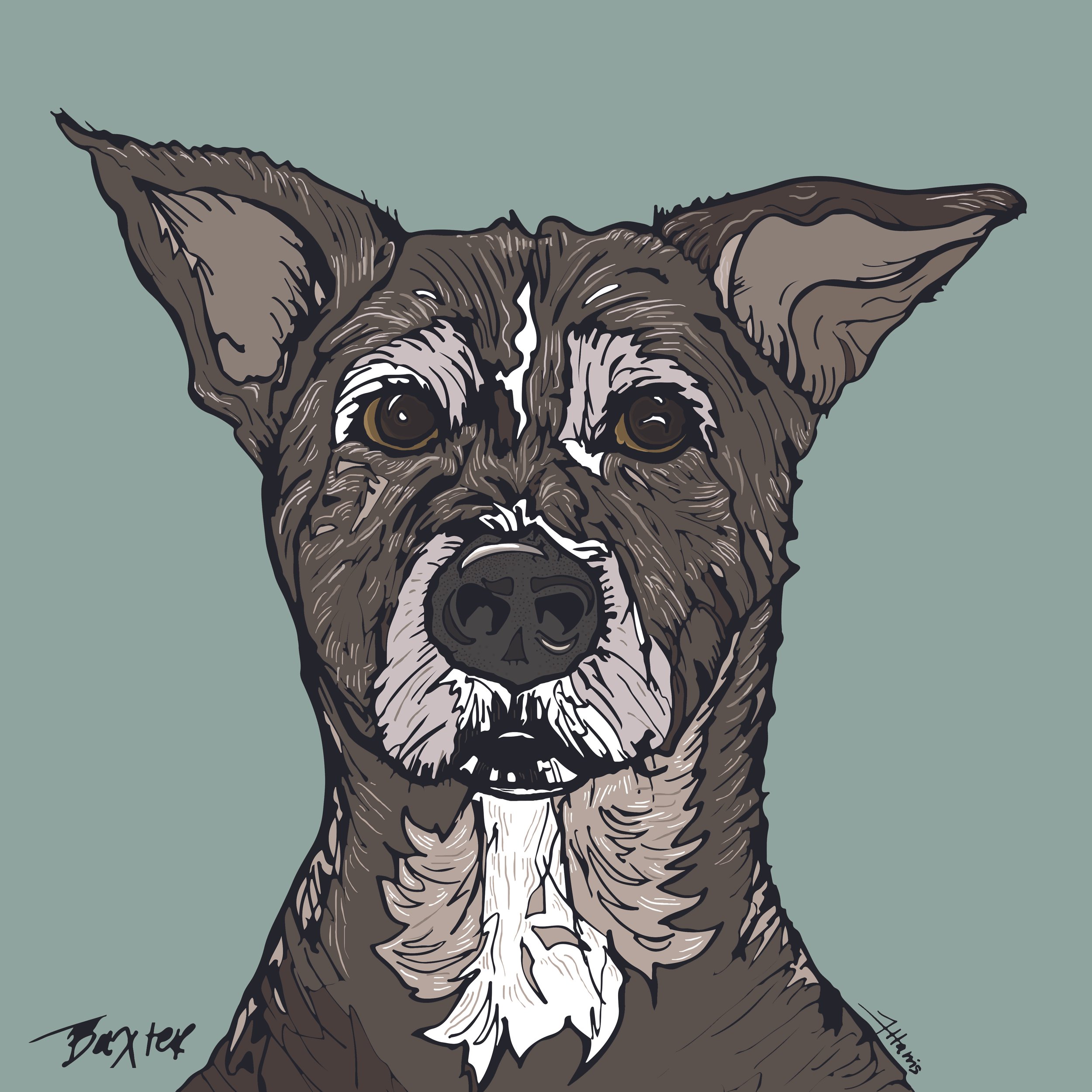 Baxter