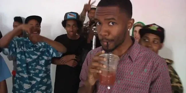 And What of All My Wild Friends