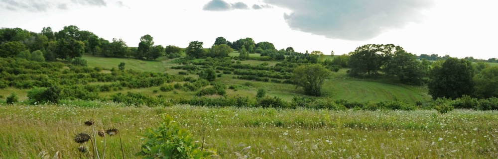 permaculture-header-2.jpg