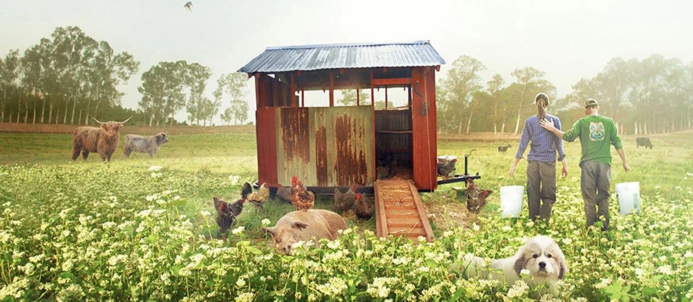 The Biggest Little Farm