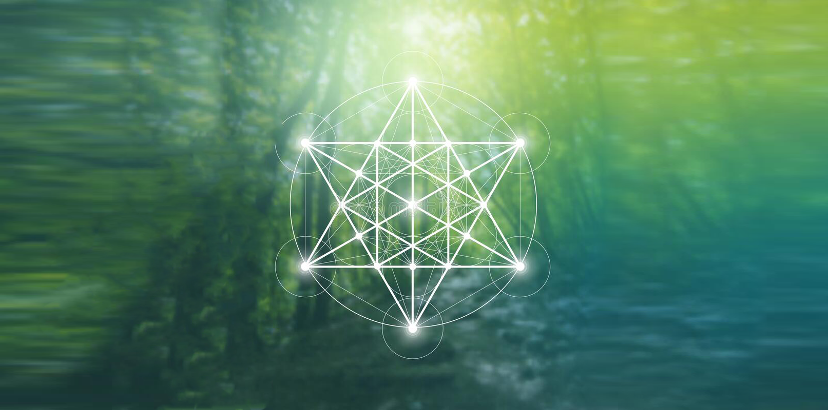 merkaba forest light banner.png