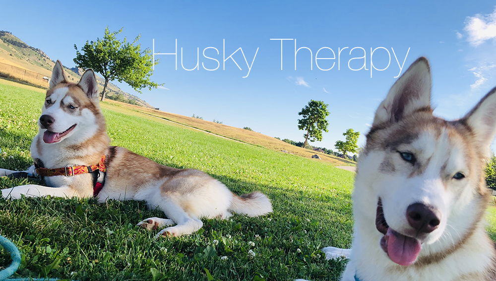 HuskyTherapy session icon.png