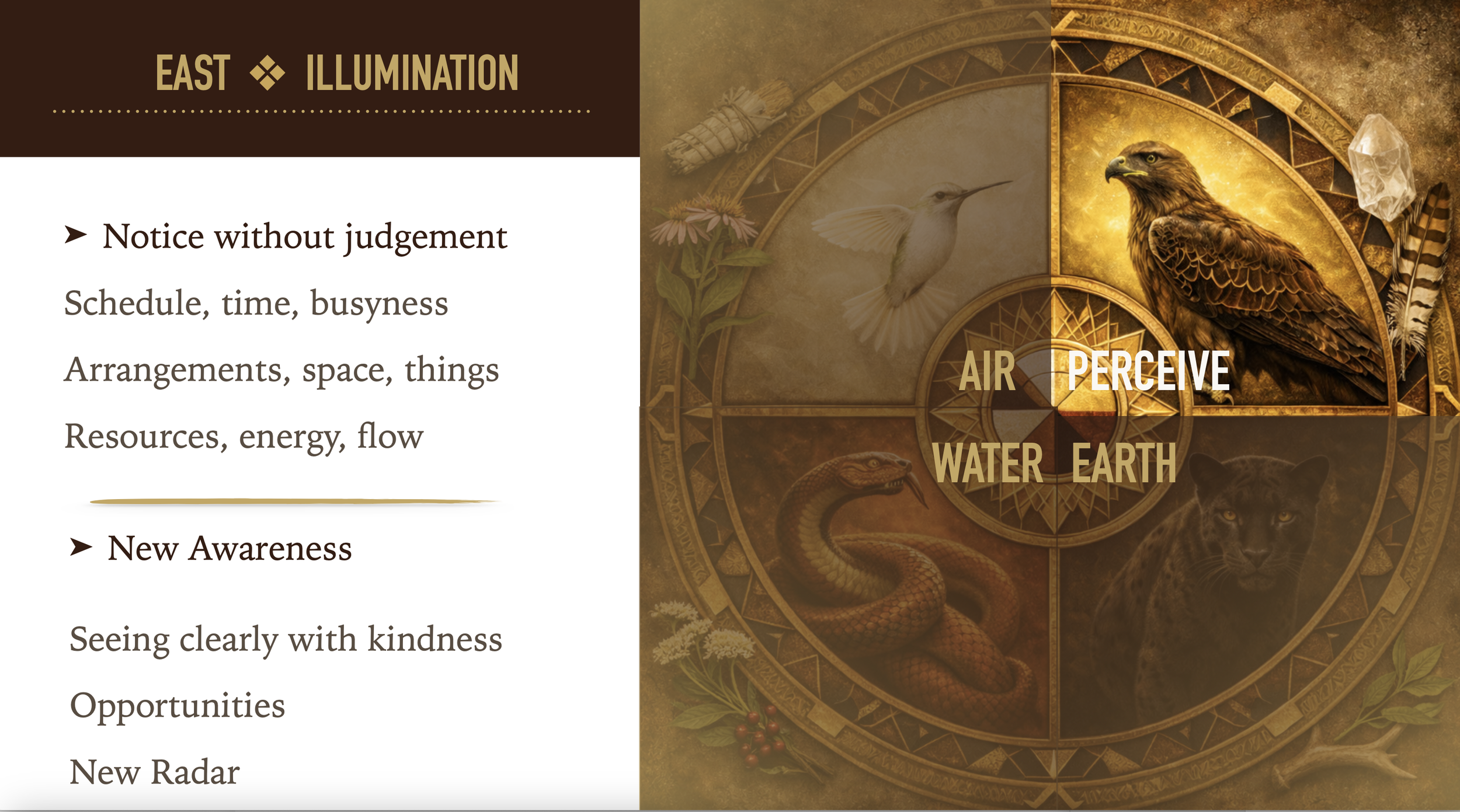 East Illumination.png