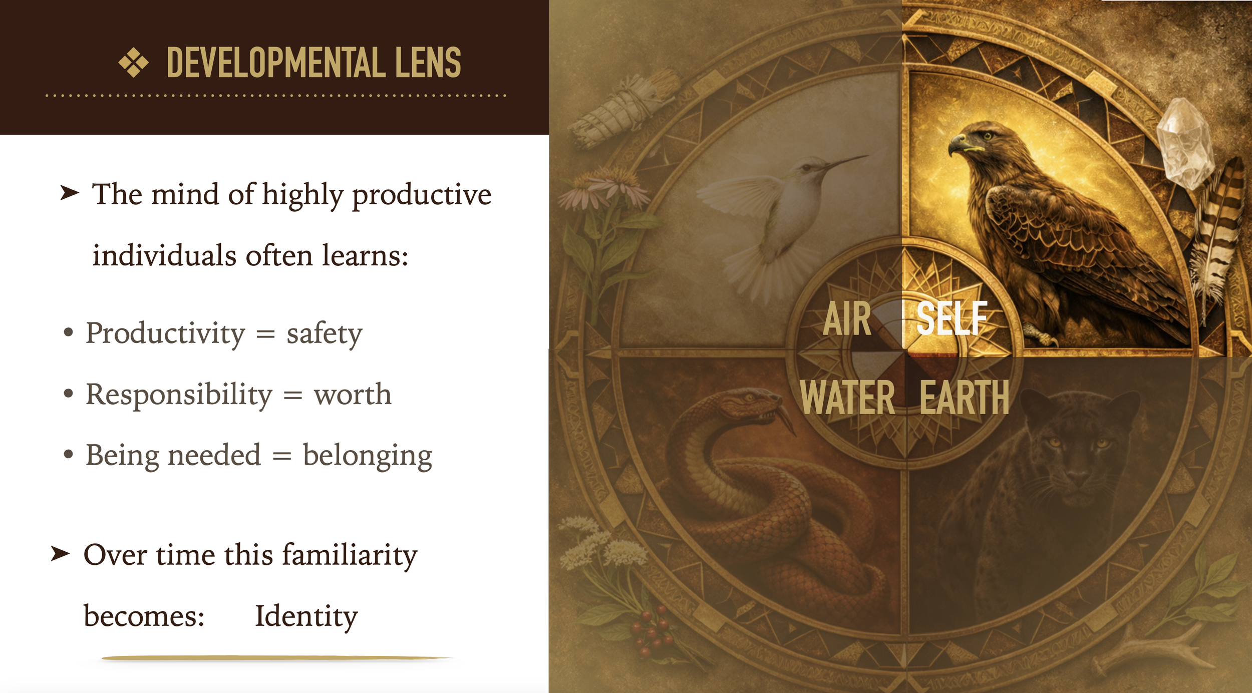 Developmental Lens.png