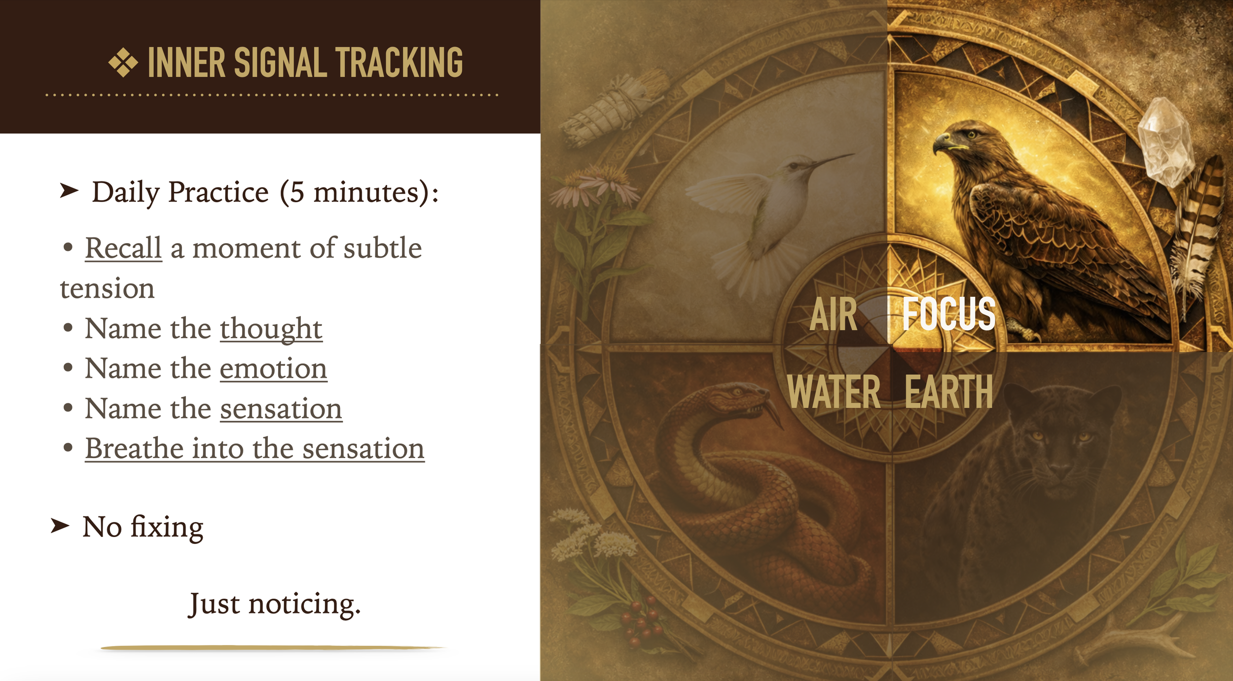 Inner Signal Tracking.png