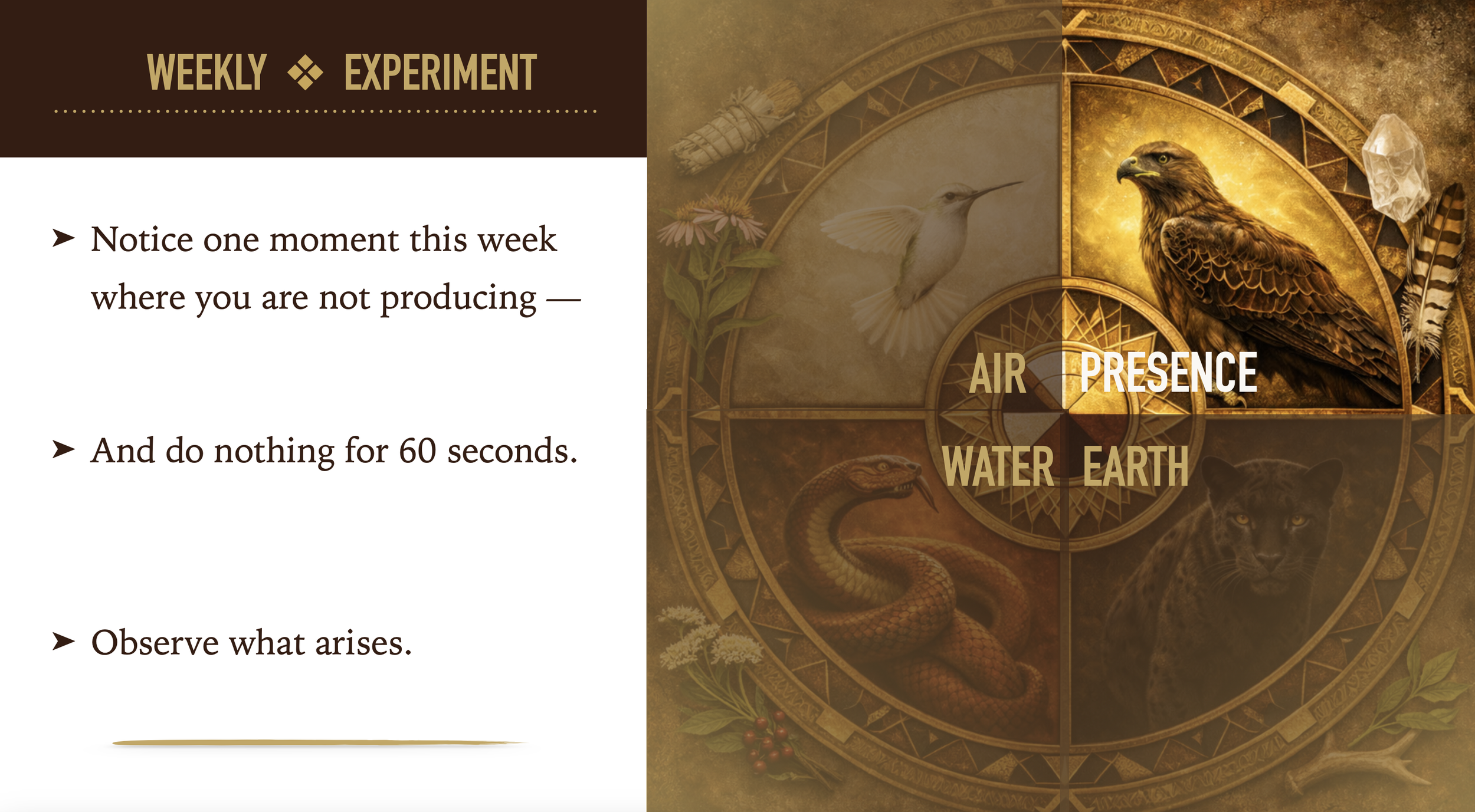 Weekly Experiment.png