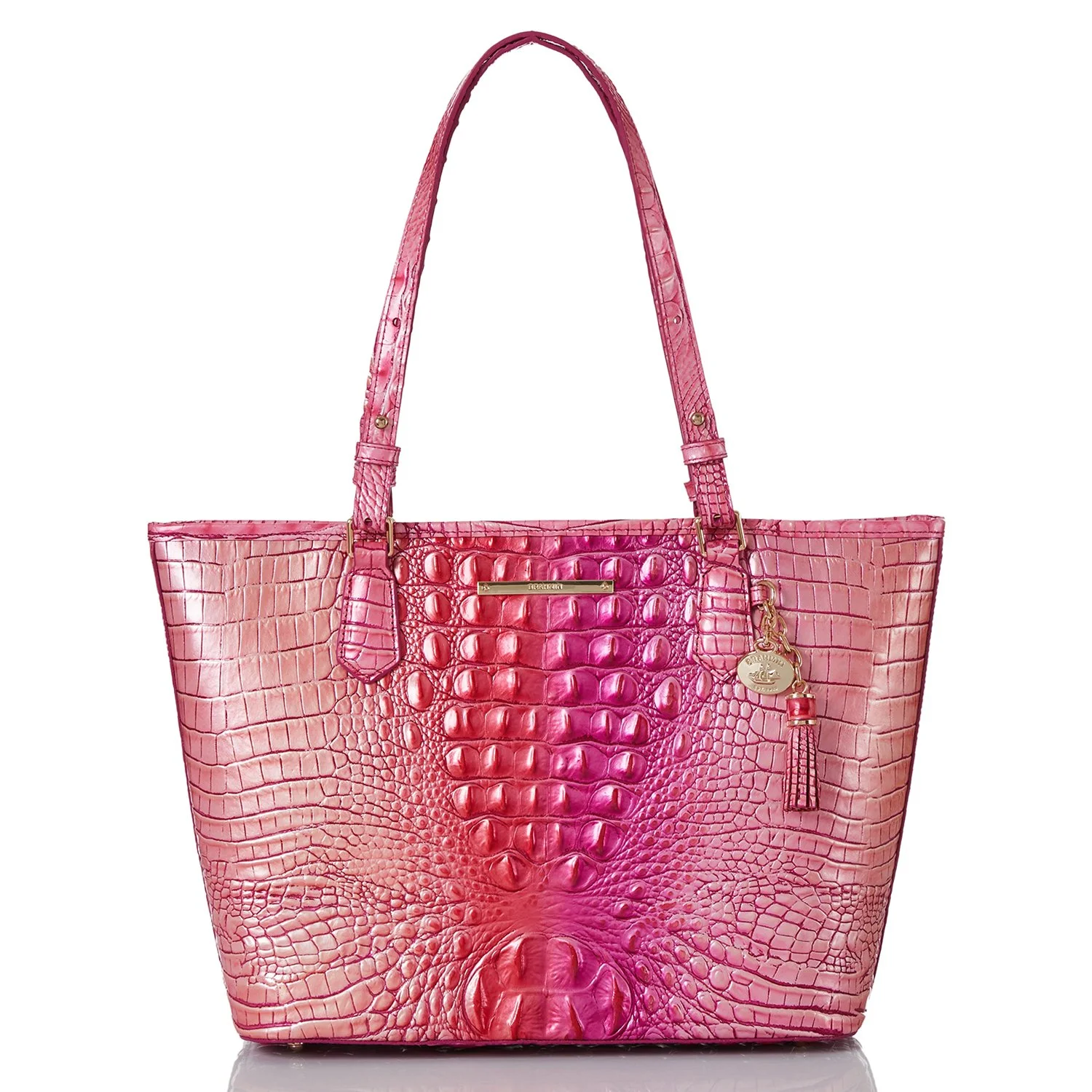 Brahmin N691708 Medium Asher Cupid Ombre Melbourne Bag and Baggage