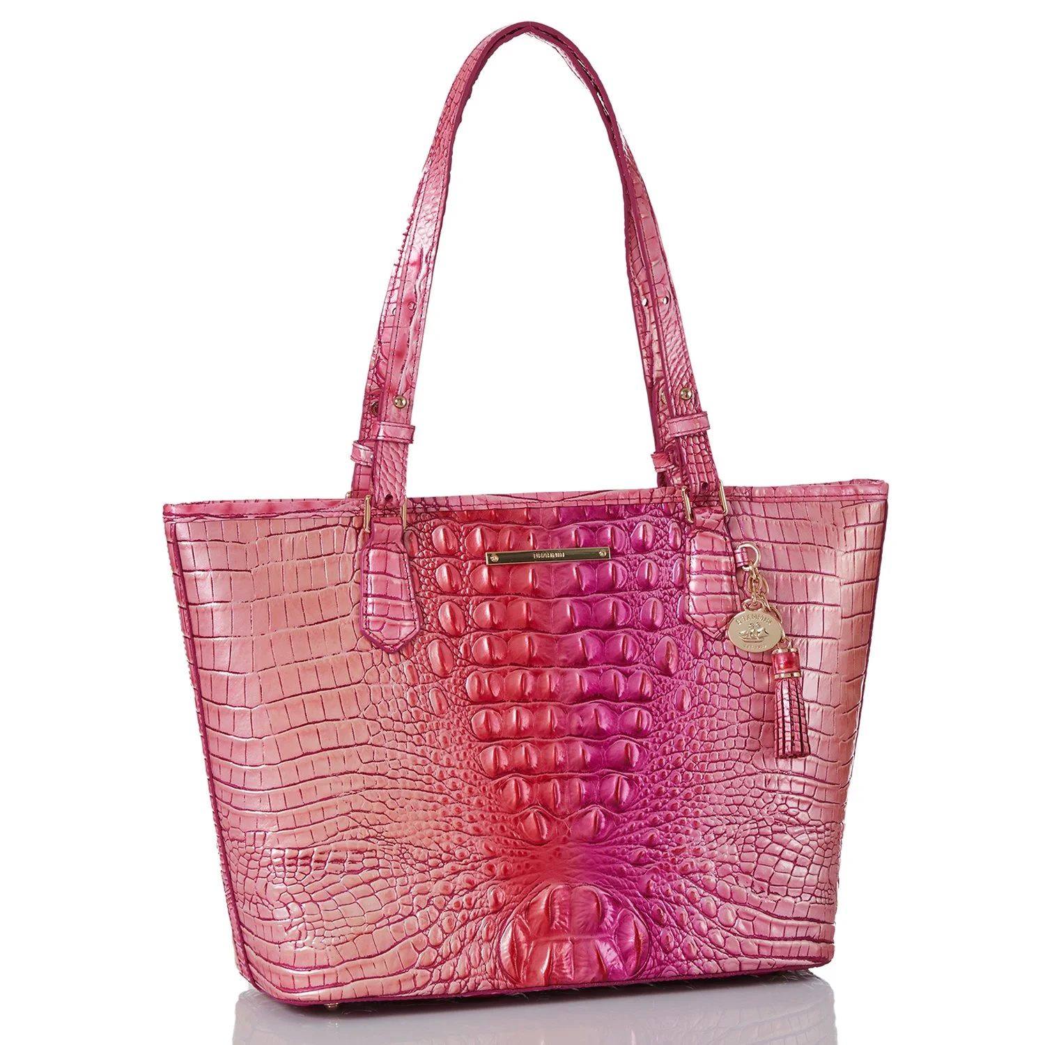 Brahmin N691708 Medium Asher Cupid Ombre Melbourne Bag and Baggage