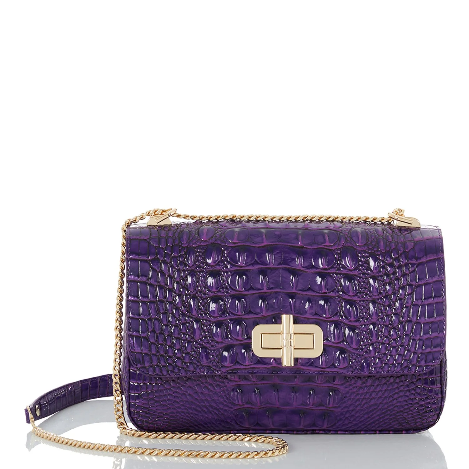 Purple brahmin sale