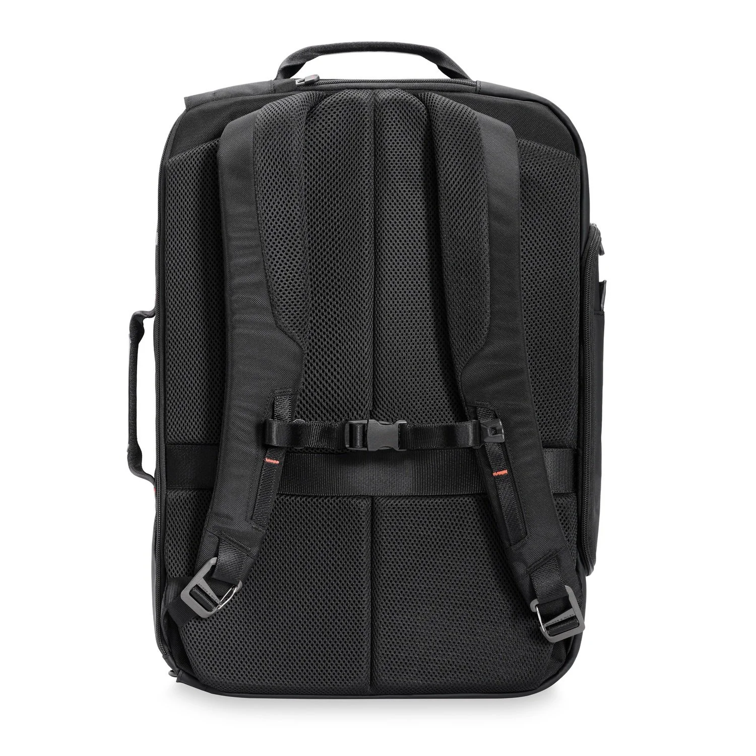 ZXK233X-4_Back.jpg