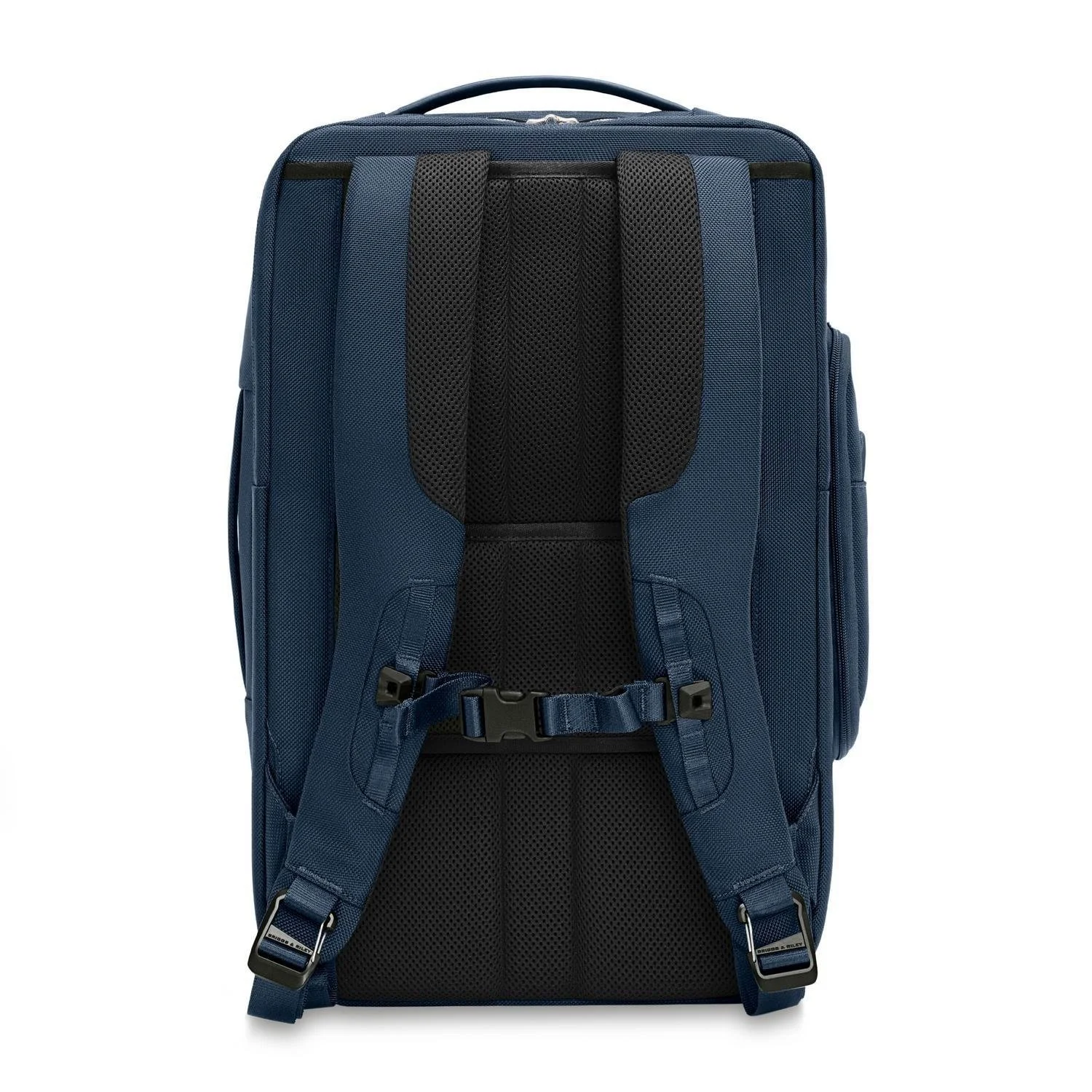BL295X-5_Back.jpg (Copy)