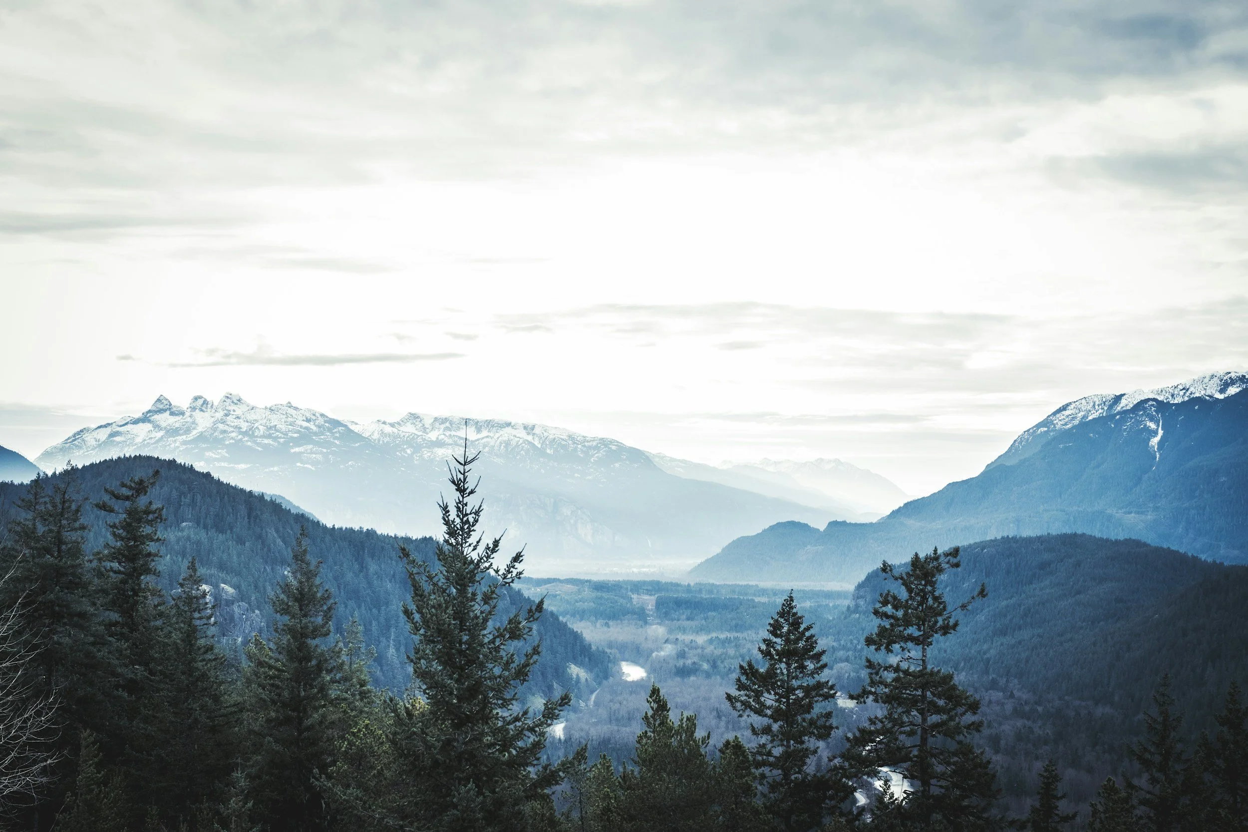 ABLE BC Liquor Industry Meetings