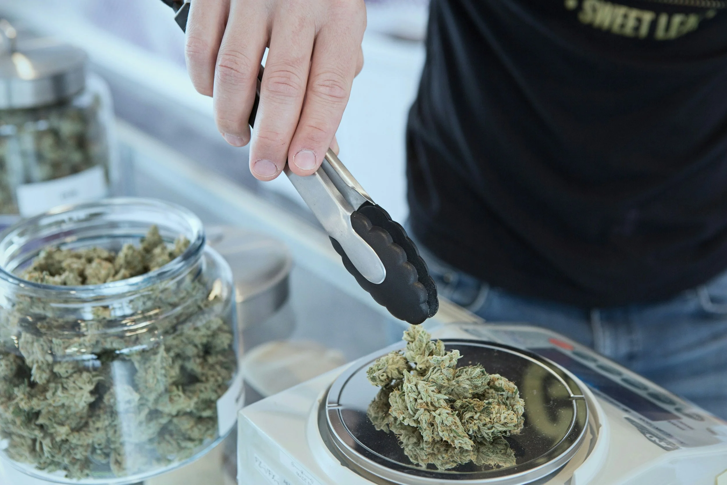 Cannabis Industry Update: September 9, 2026