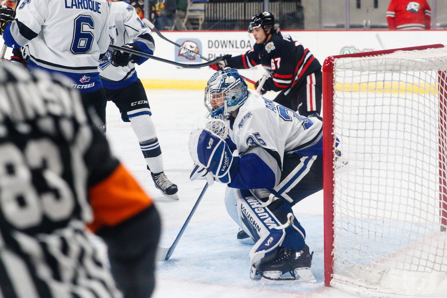 Campbell Arnold in net for the Victoria Royals