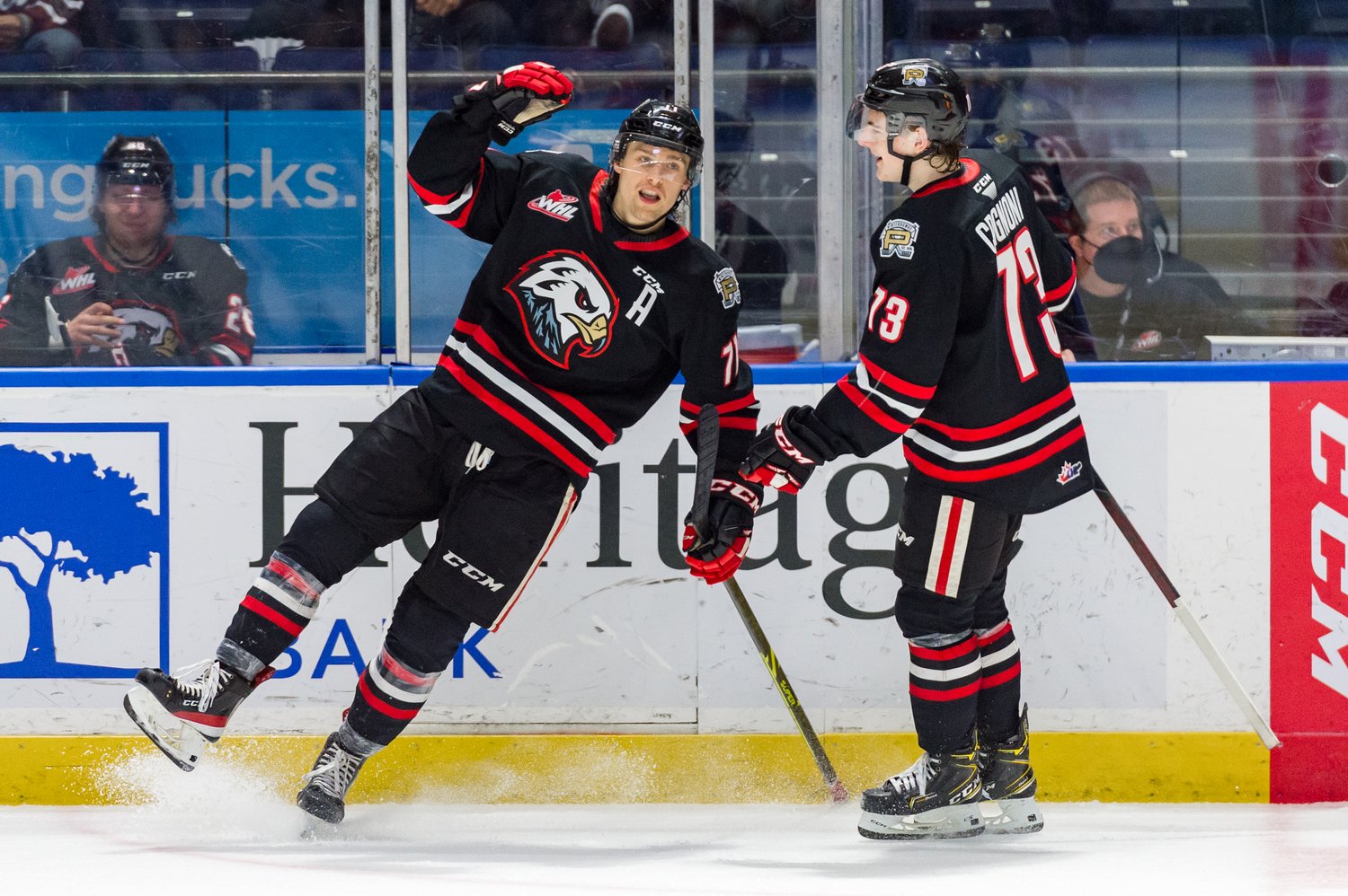 Cross Hanas and Luca Cagnoni celebrate a shorthanded empty net goal as Marek Alscher sits in the Penalty Box for the Portland Winterhawks