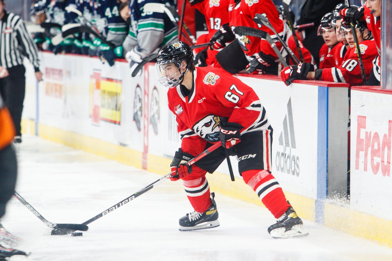 Dawson Pasternak during a game for the Portland Winterhawks