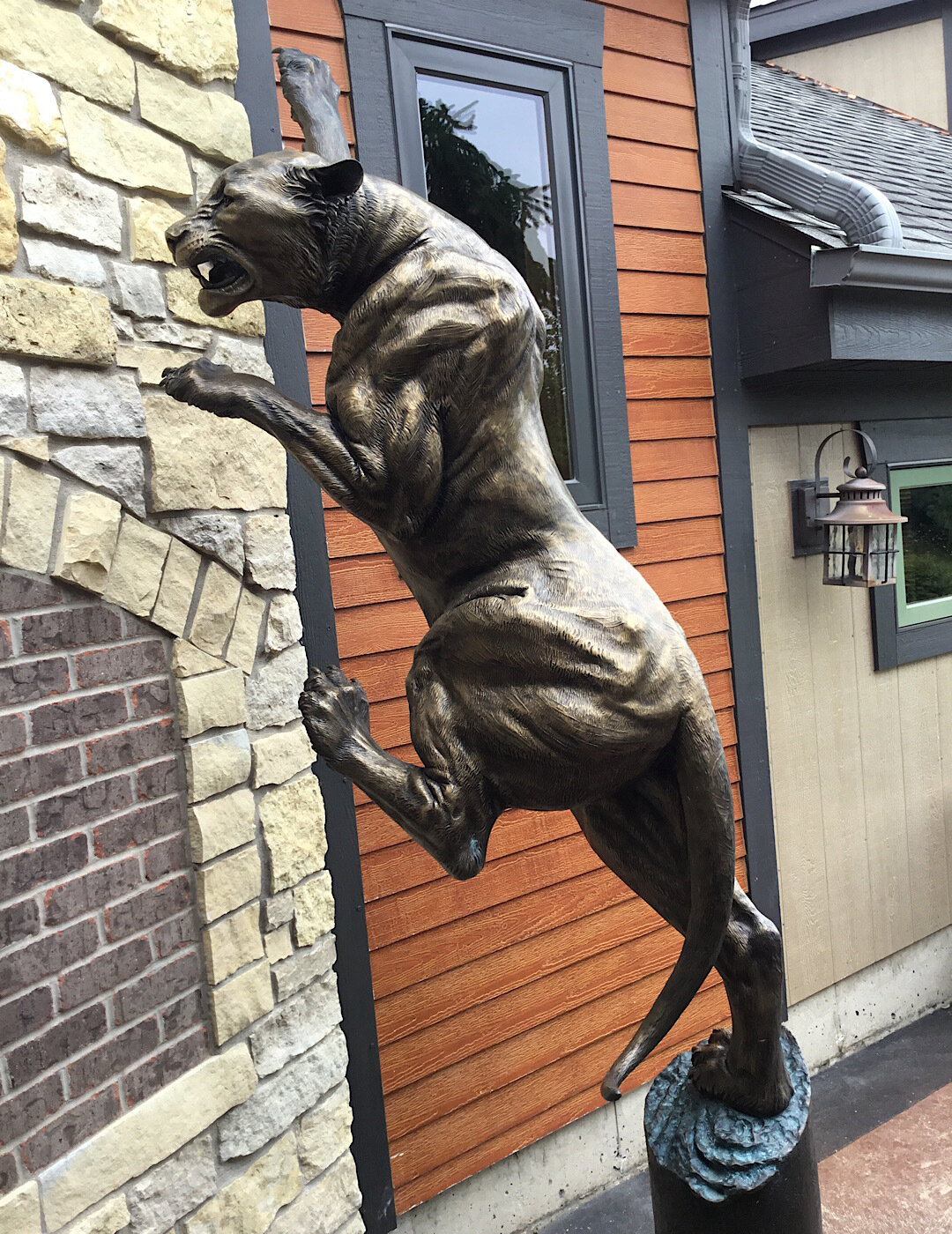 Dynamic Intensity, $18,000