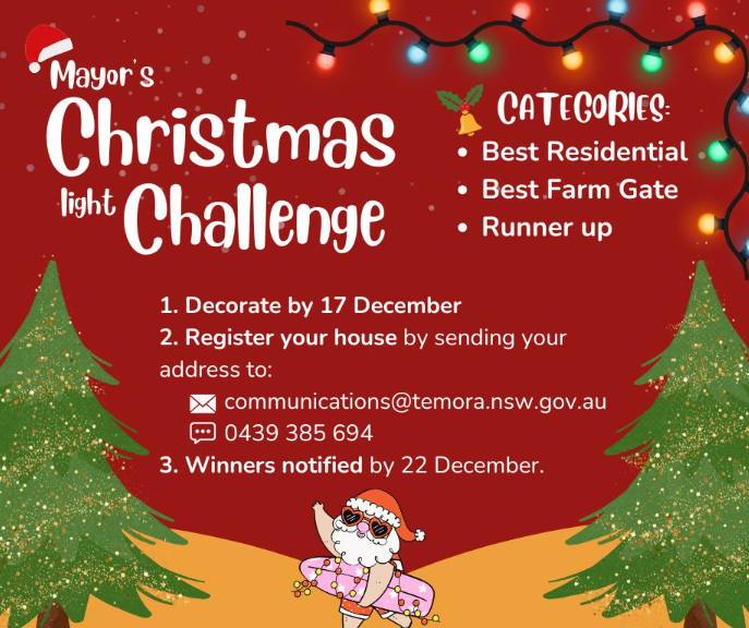 Mayor's Christmas Light Challenge!