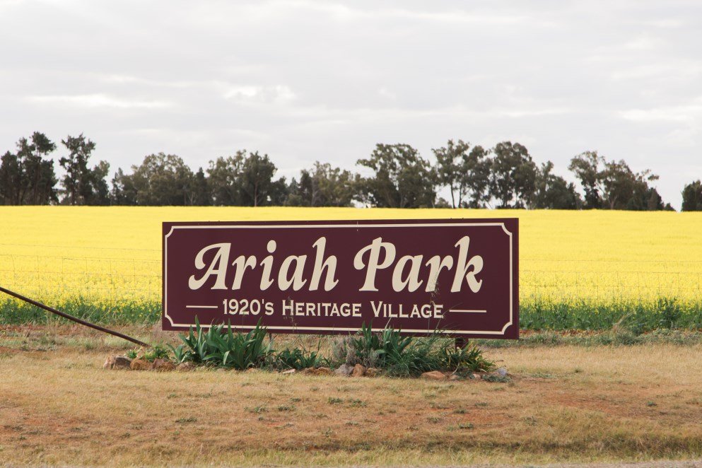 Ariah Park Community Christmas Tree Event!