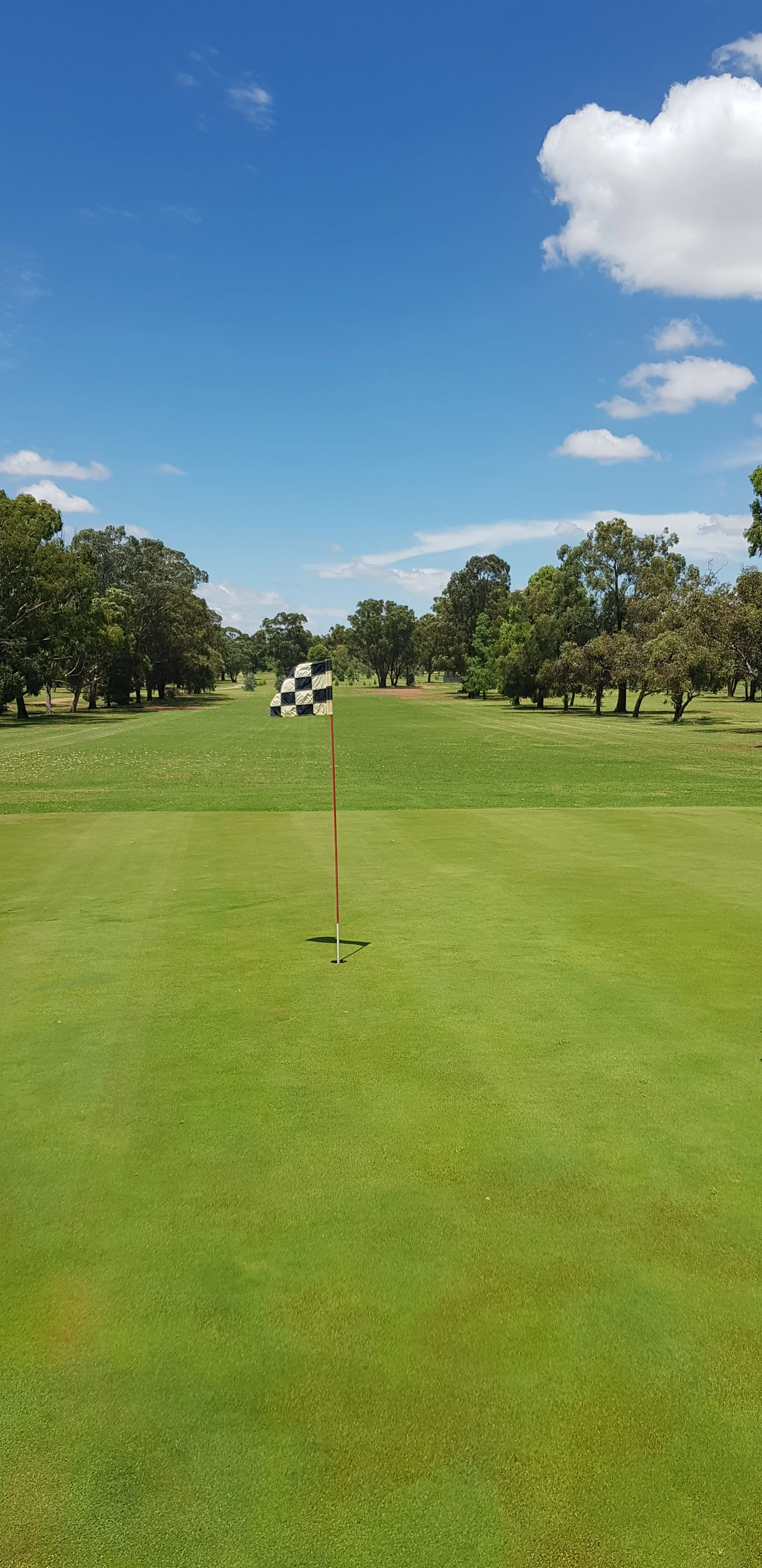 Temora Open Golf Weekend!