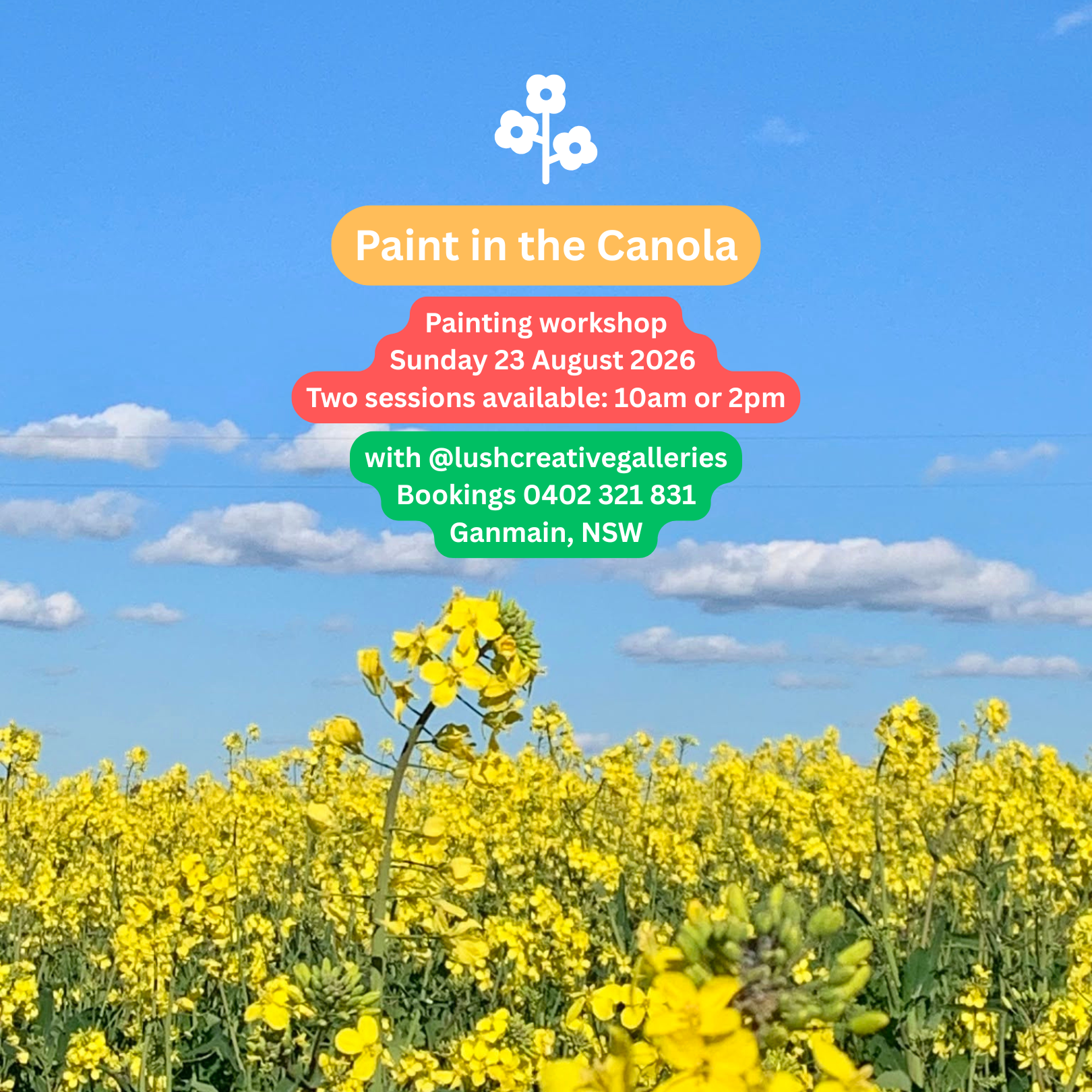 Paint in the Canola!